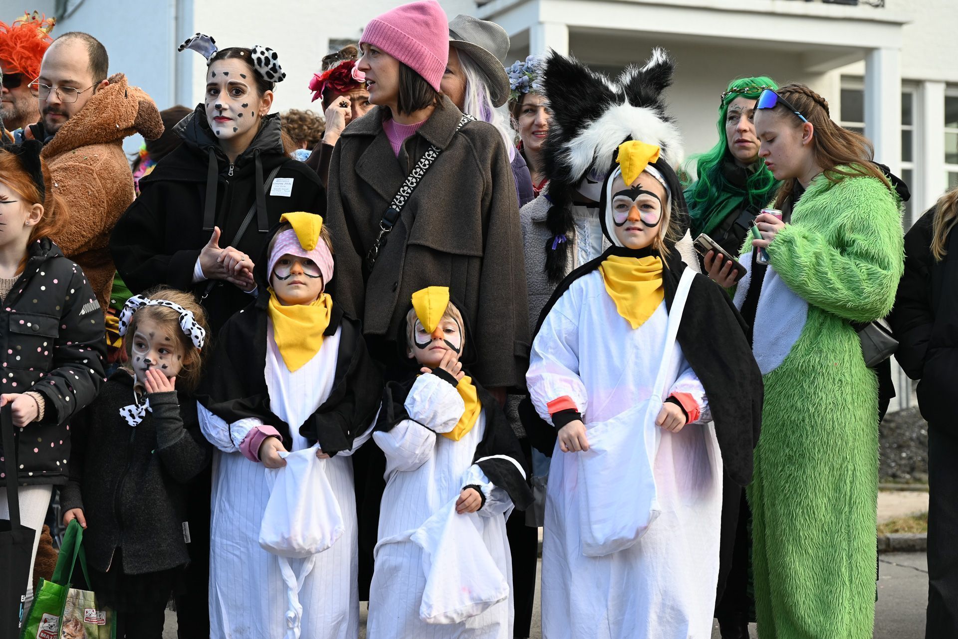 Faschingsumzug in Lustenau  (Bildergalerie)