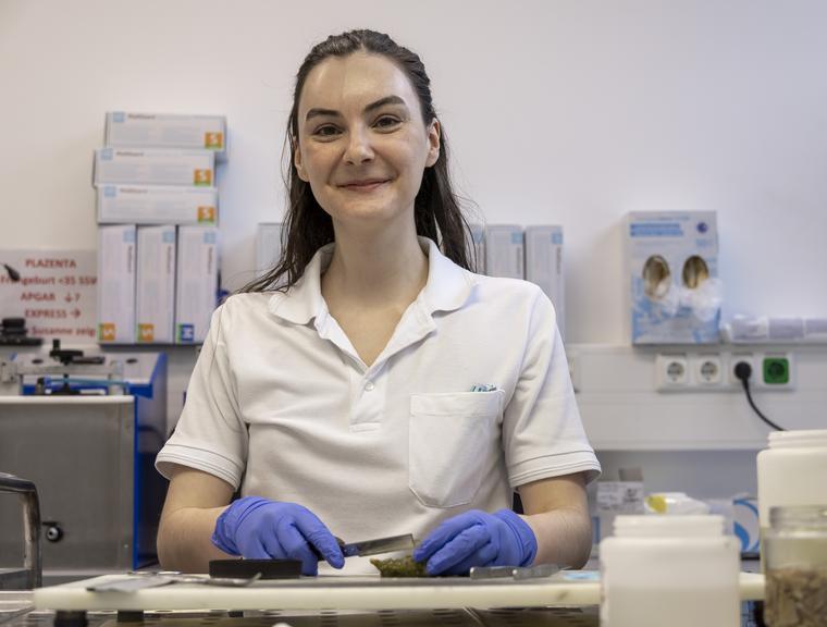 „Die beste Entscheidung meines Lebens“ – Warum Susanna Neumayer Pathologin wurde