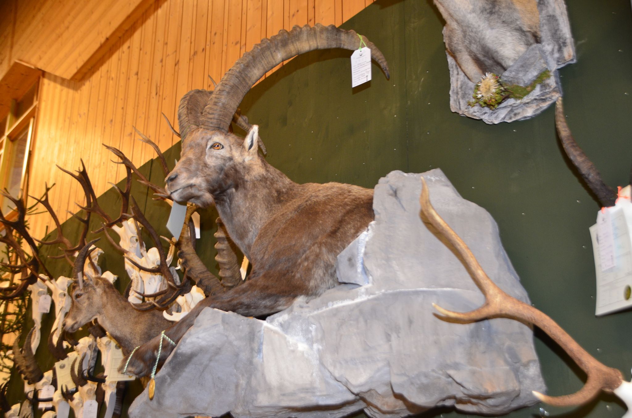 Die Oberländer Jägertage versprechen ein interessantes Programm.