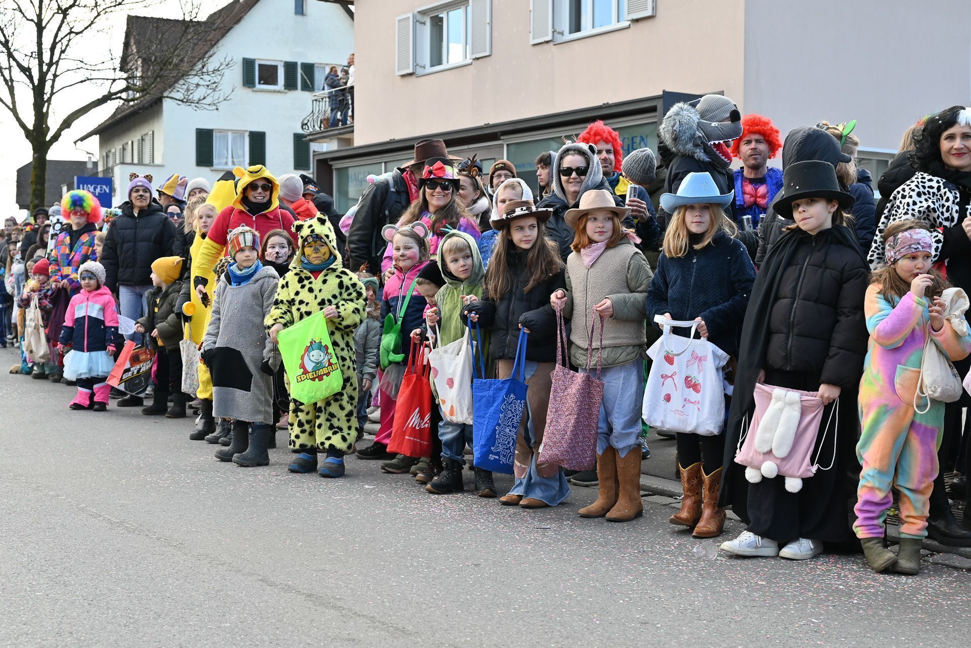 Faschingsumzug in Lustenau  (Bildergalerie)