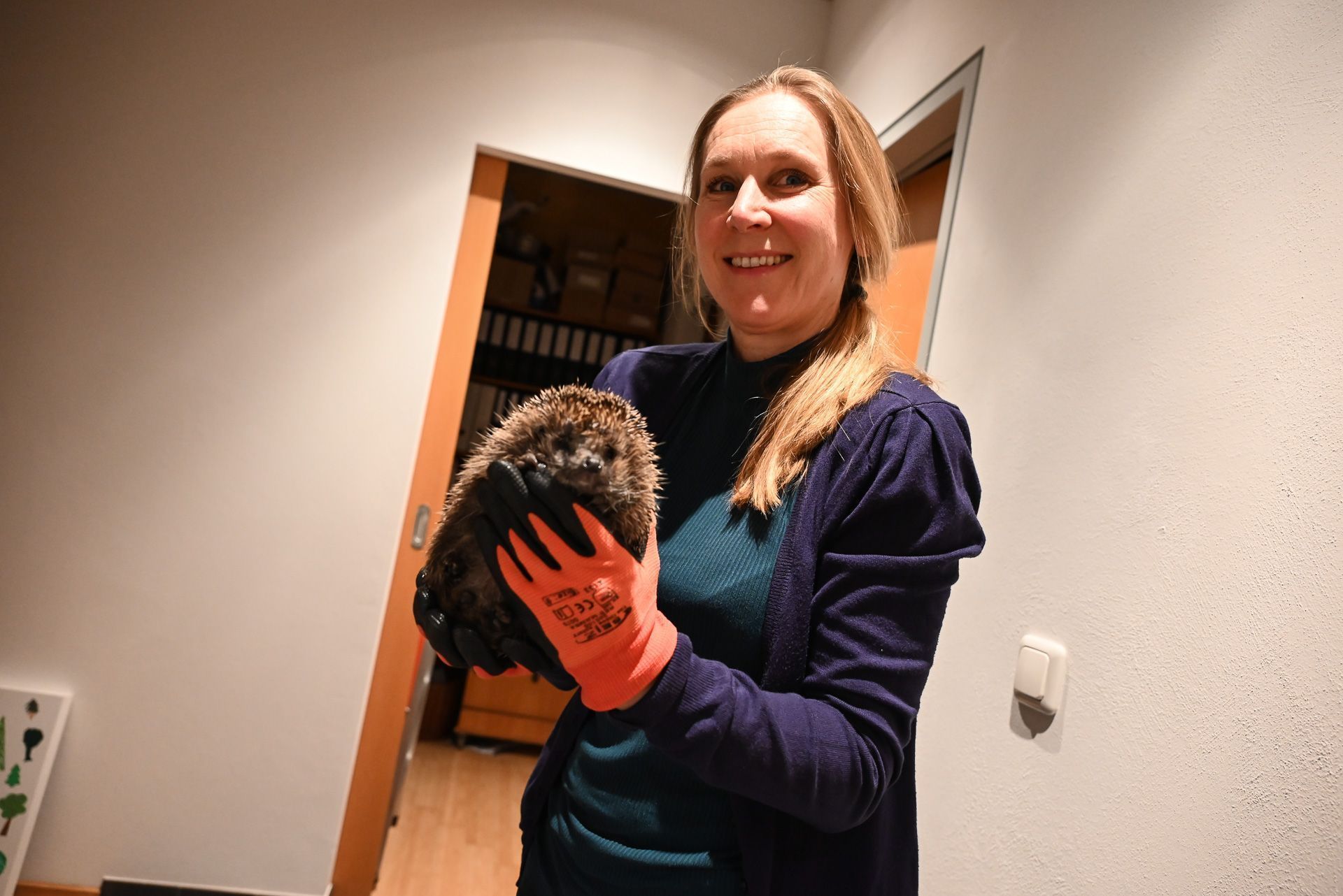 Sabine Matt aus Lustenau päppelt kranke und unterernährte Igel auf und bringt sie so durch den Winter. 