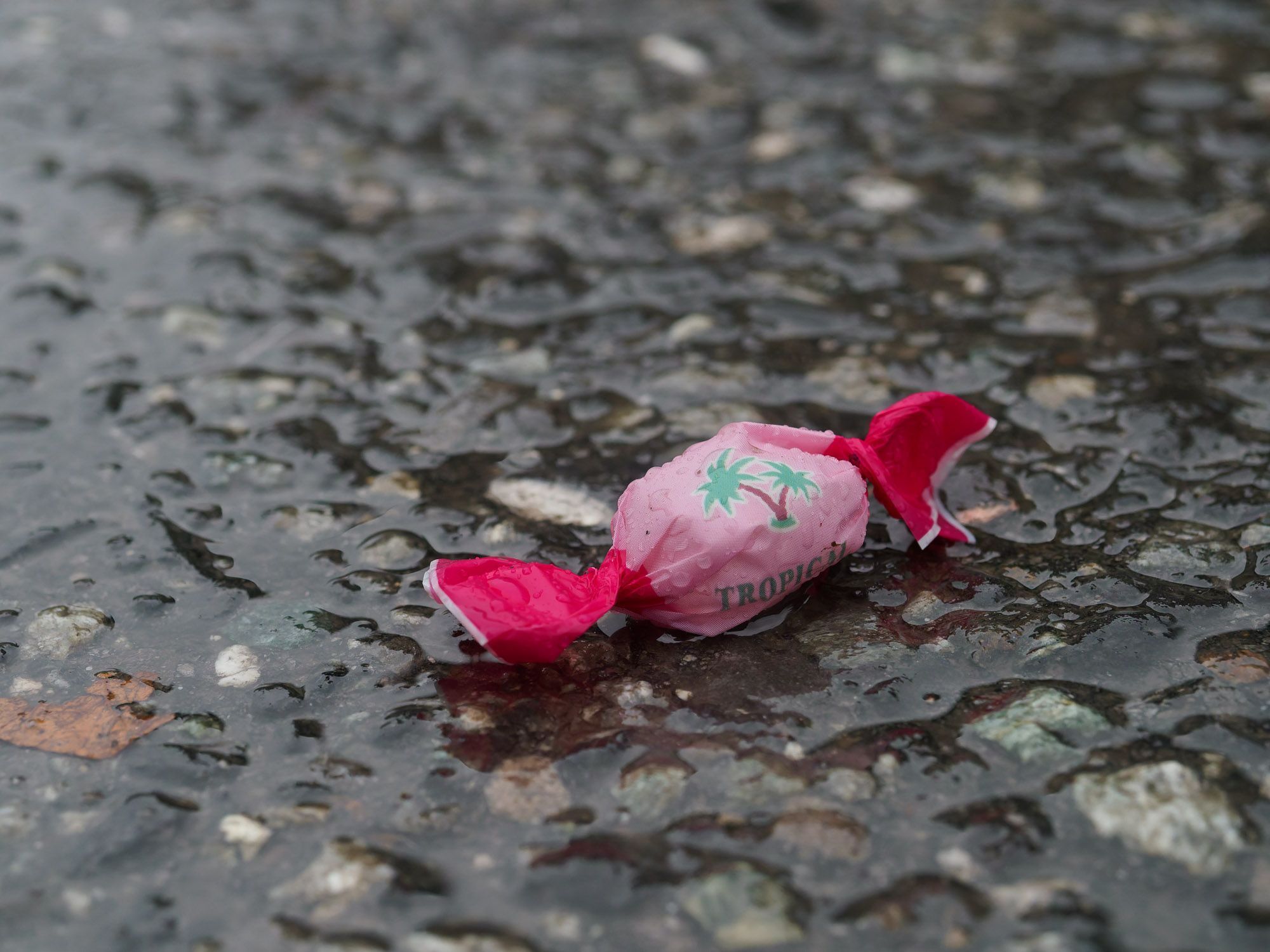 Götzner Fasnatumzug - Samstag 14. Februar (Bildergalerie)