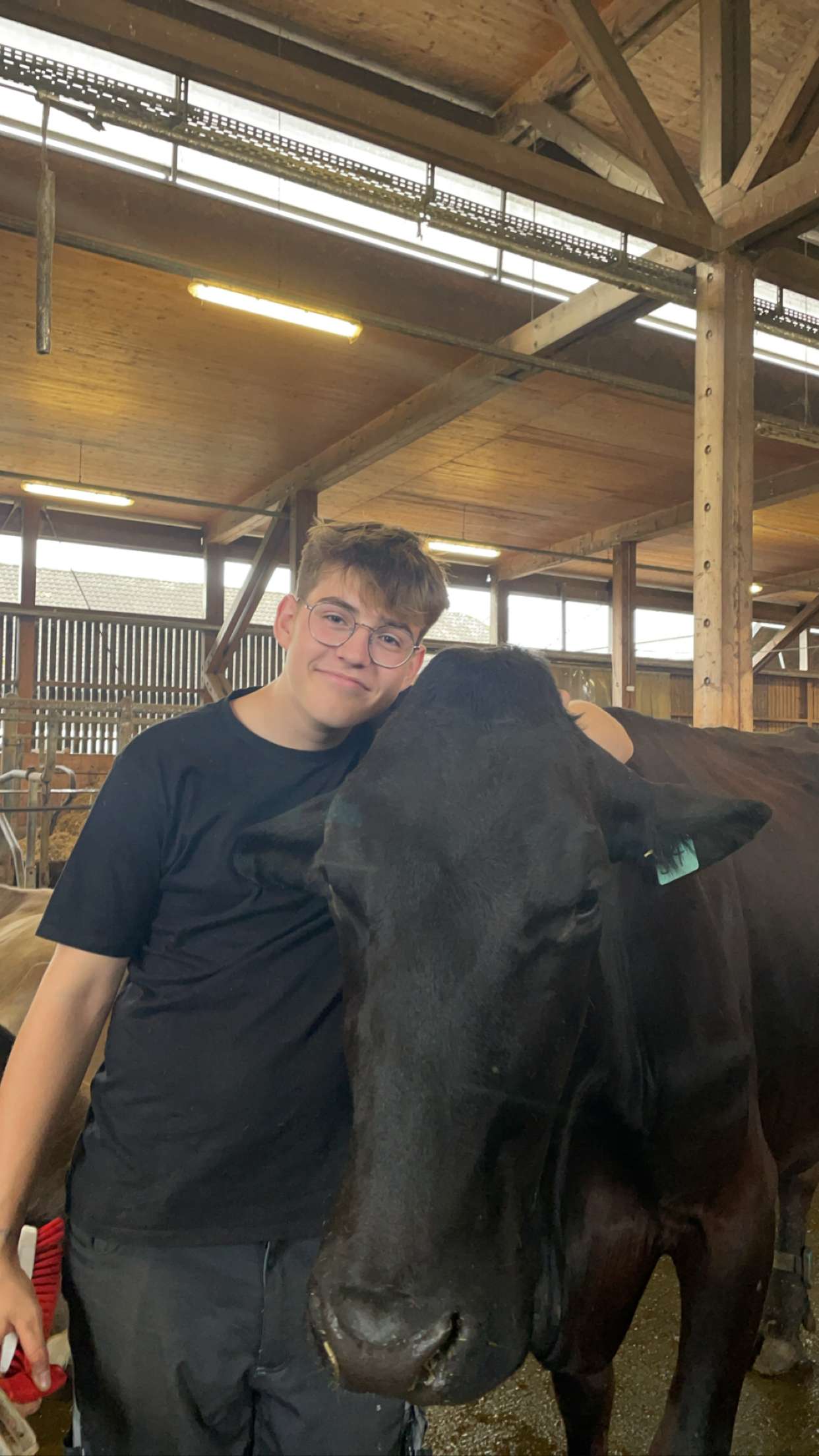 Luis besucht die Höhere Lehranstalt für Landwirtschaft in Hohenems und hat auch dort viel mit Tieren zu tun. (Quelle: privat)