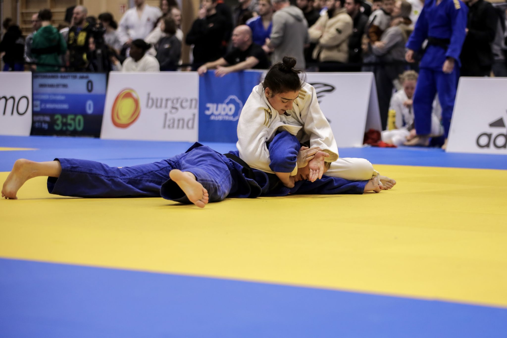 Die Dornbirner Judokas behaupteten sich auf Bundesebene.