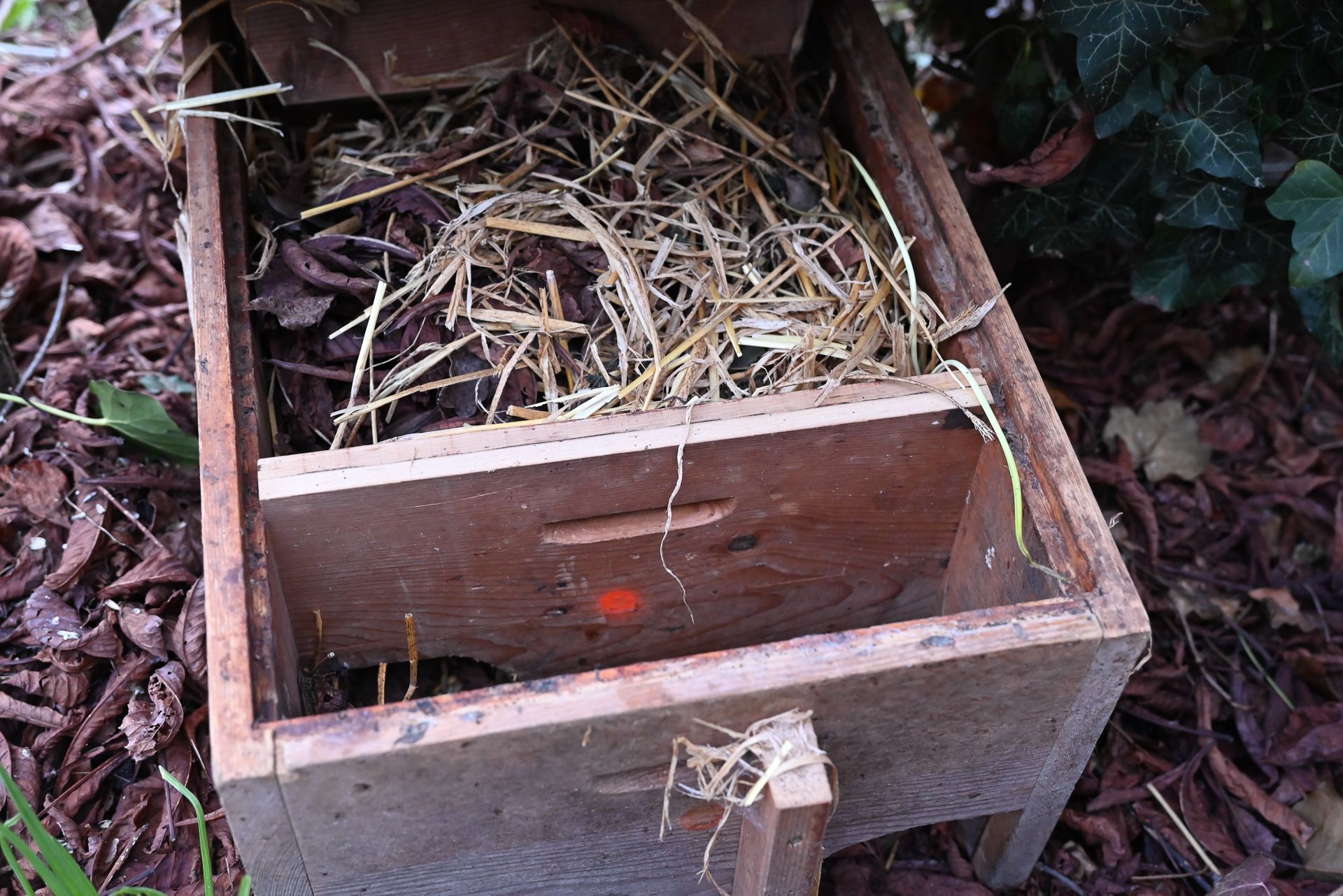 Die Igel haben sich ihr eigenes Nest gebaut und sich unter dem Haufen Blätter und Stroh versteckt. 