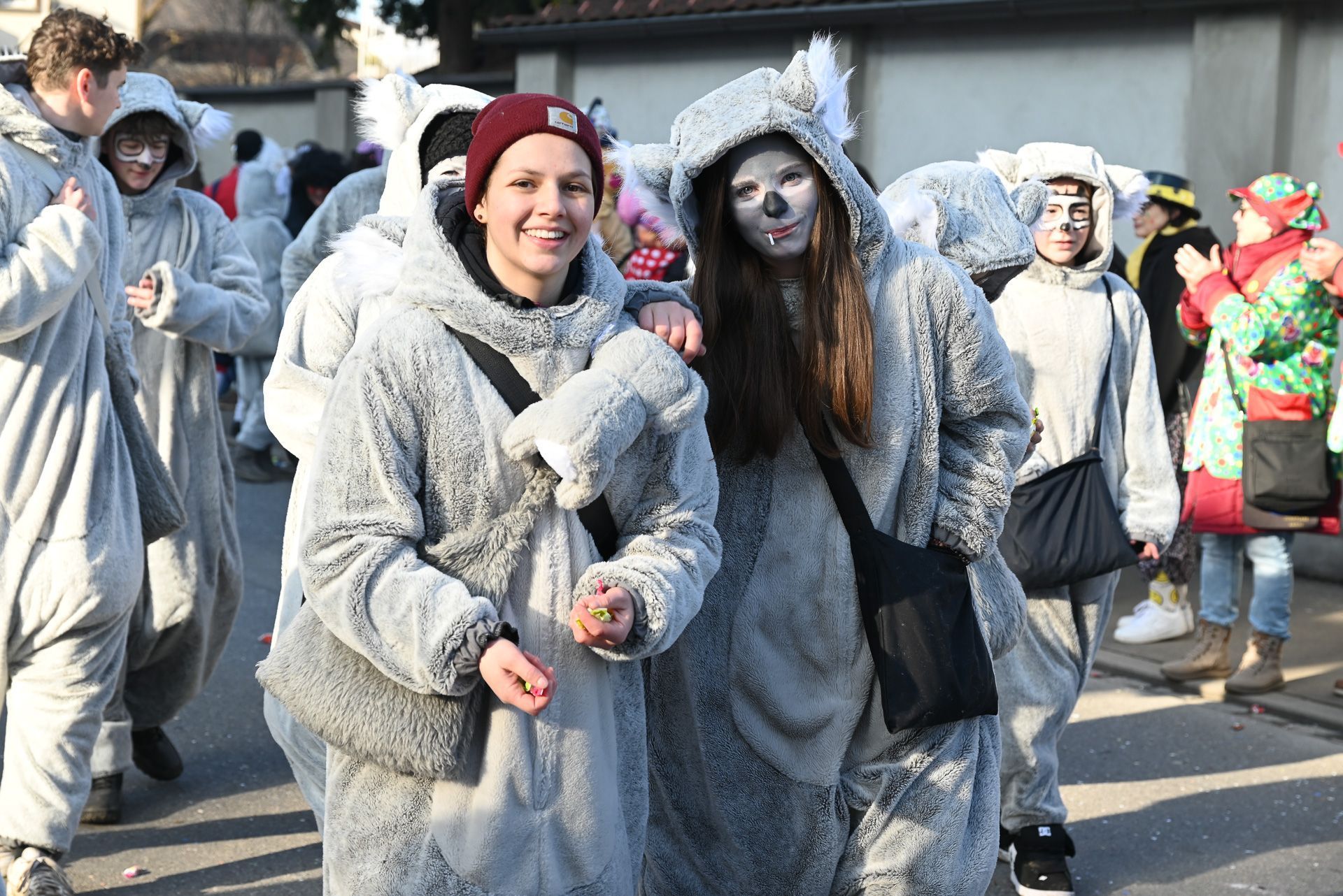 Faschingsumzug in Lustenau  (Bildergalerie)