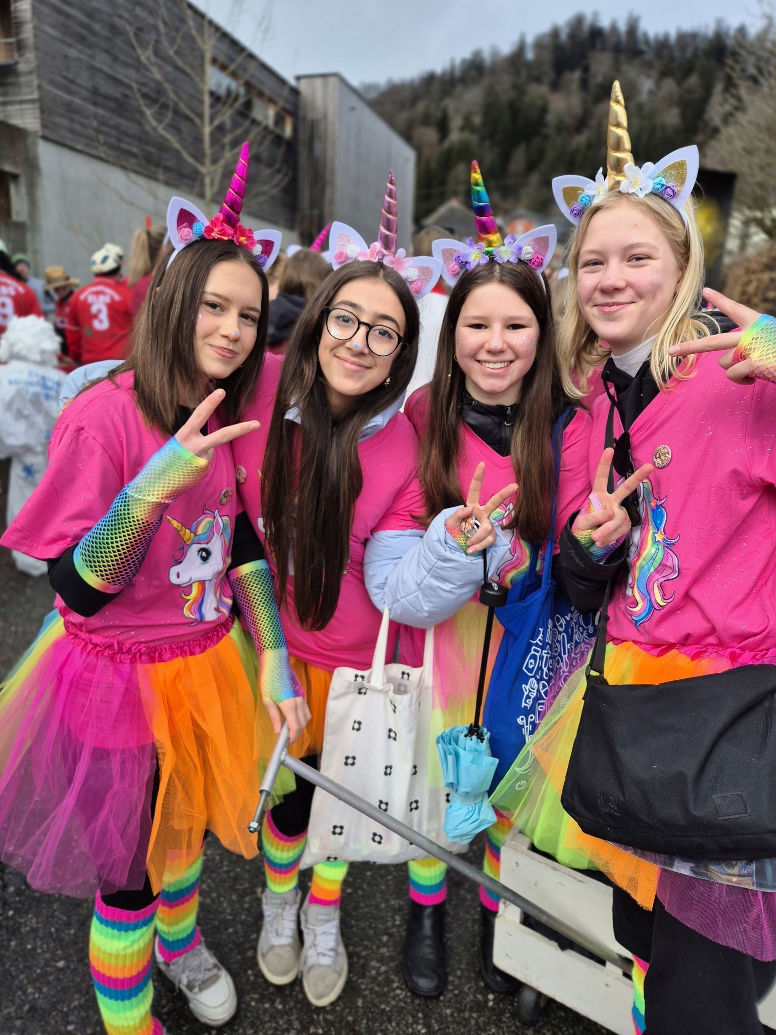 Die Jungen Einhörner vom Volleyballclub