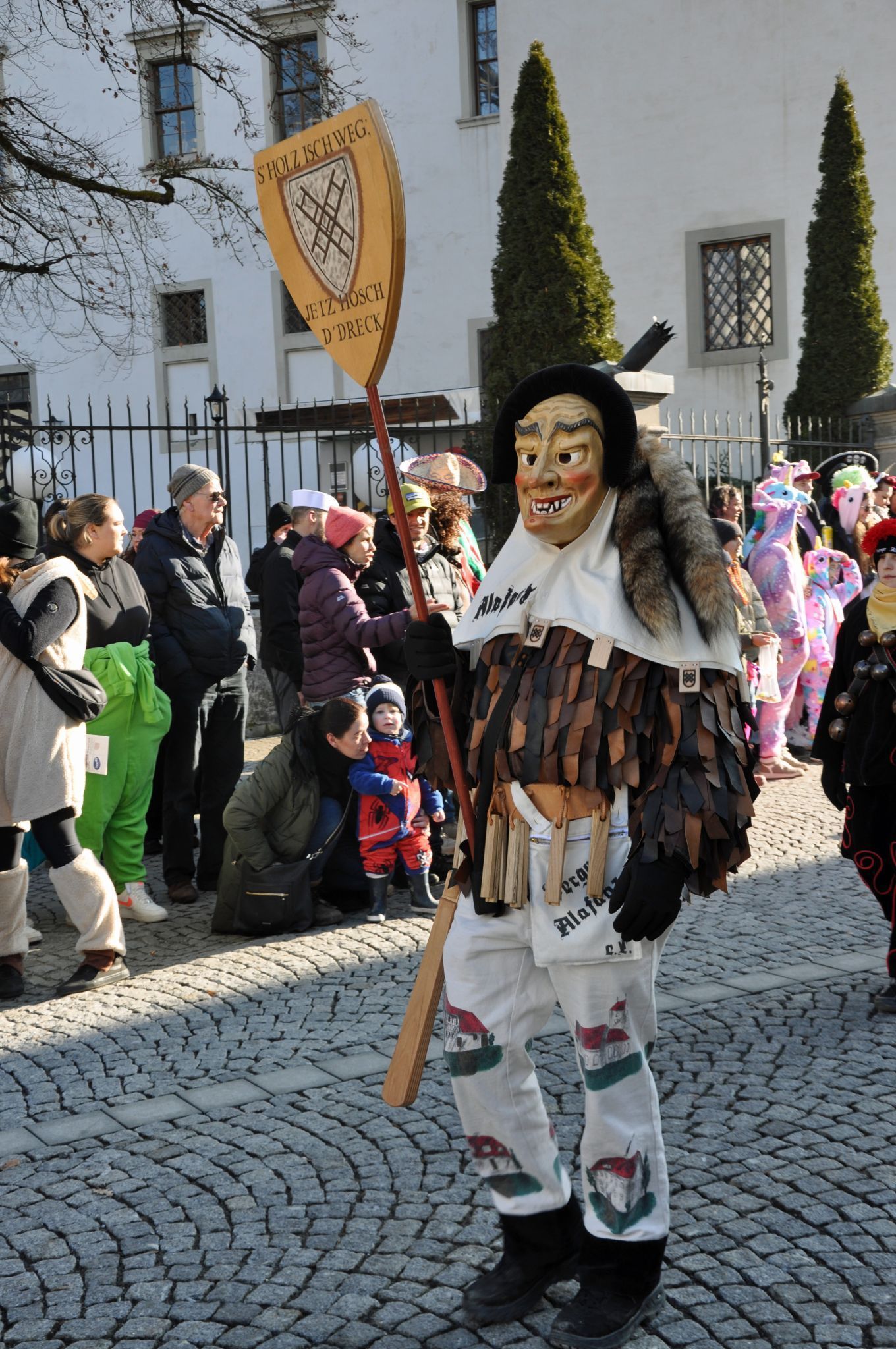 Faschingsumzug Hohenems 2026 (Bildergalerie)