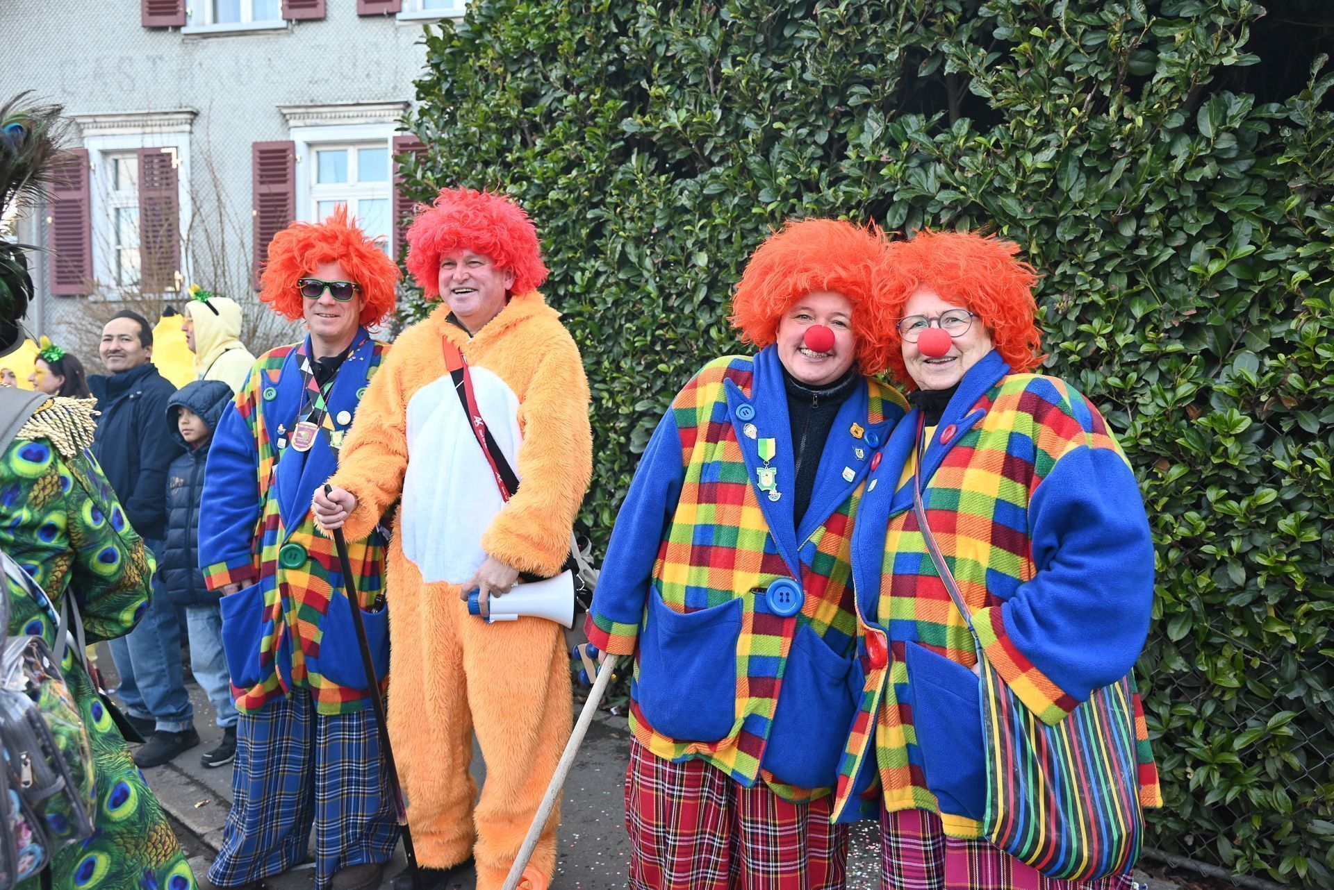 Faschingsumzug in Lustenau  (Bildergalerie)