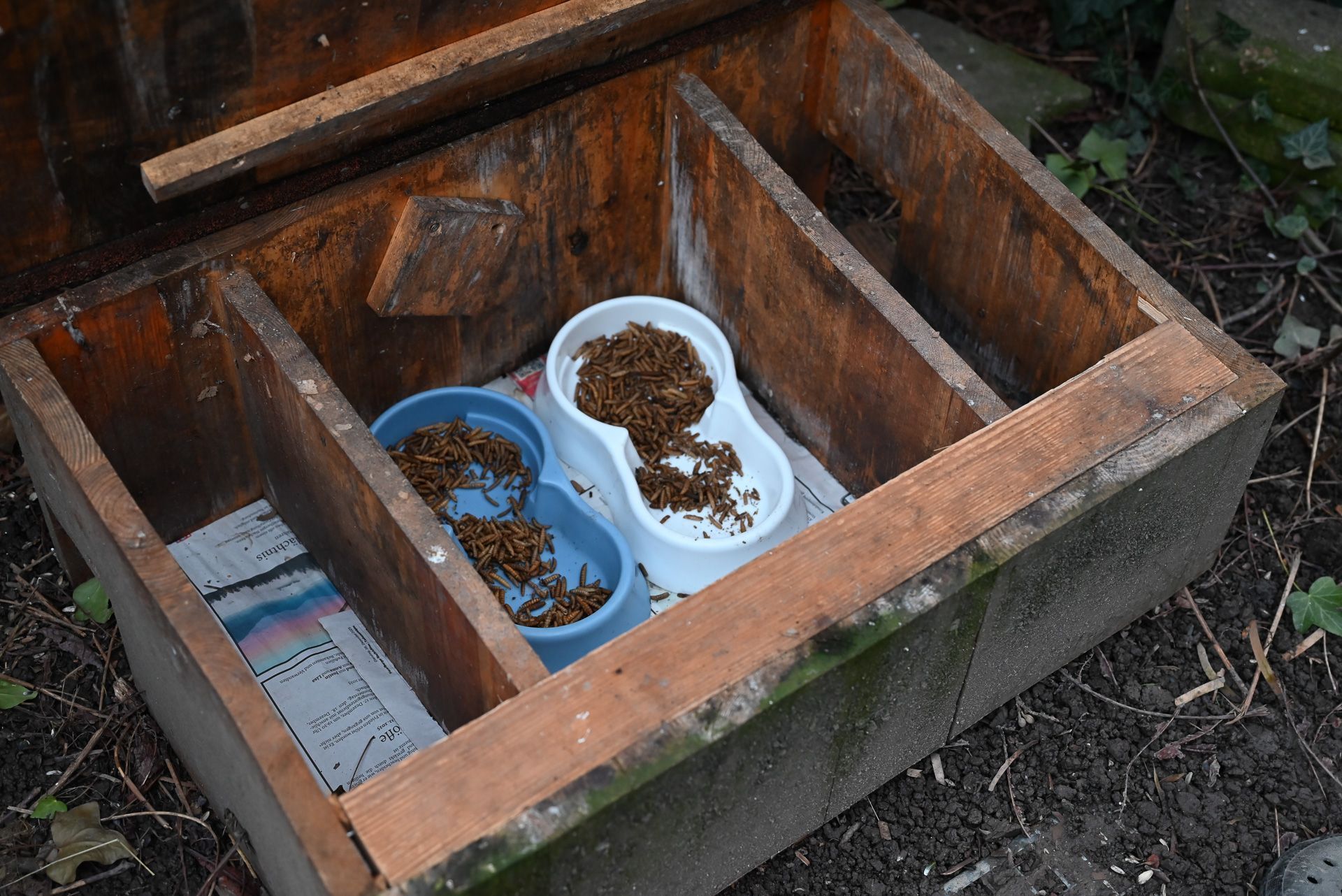Geschützte Futterstellen sind für jene vorgesehen, die aus dem Winterschlaf frühzeitig erwachen. 