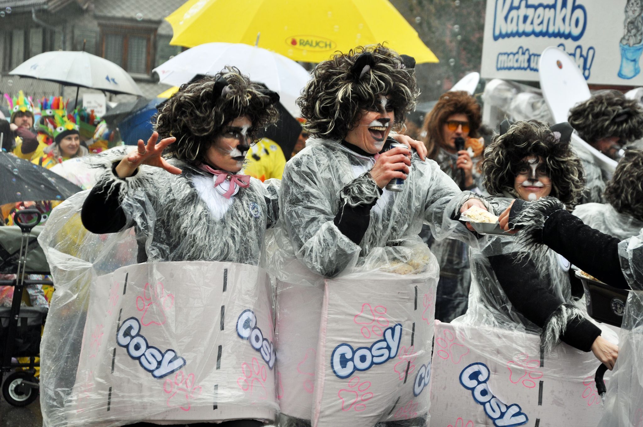 Faschingsumzug Wolfurt 2026 (Bildergalerie)