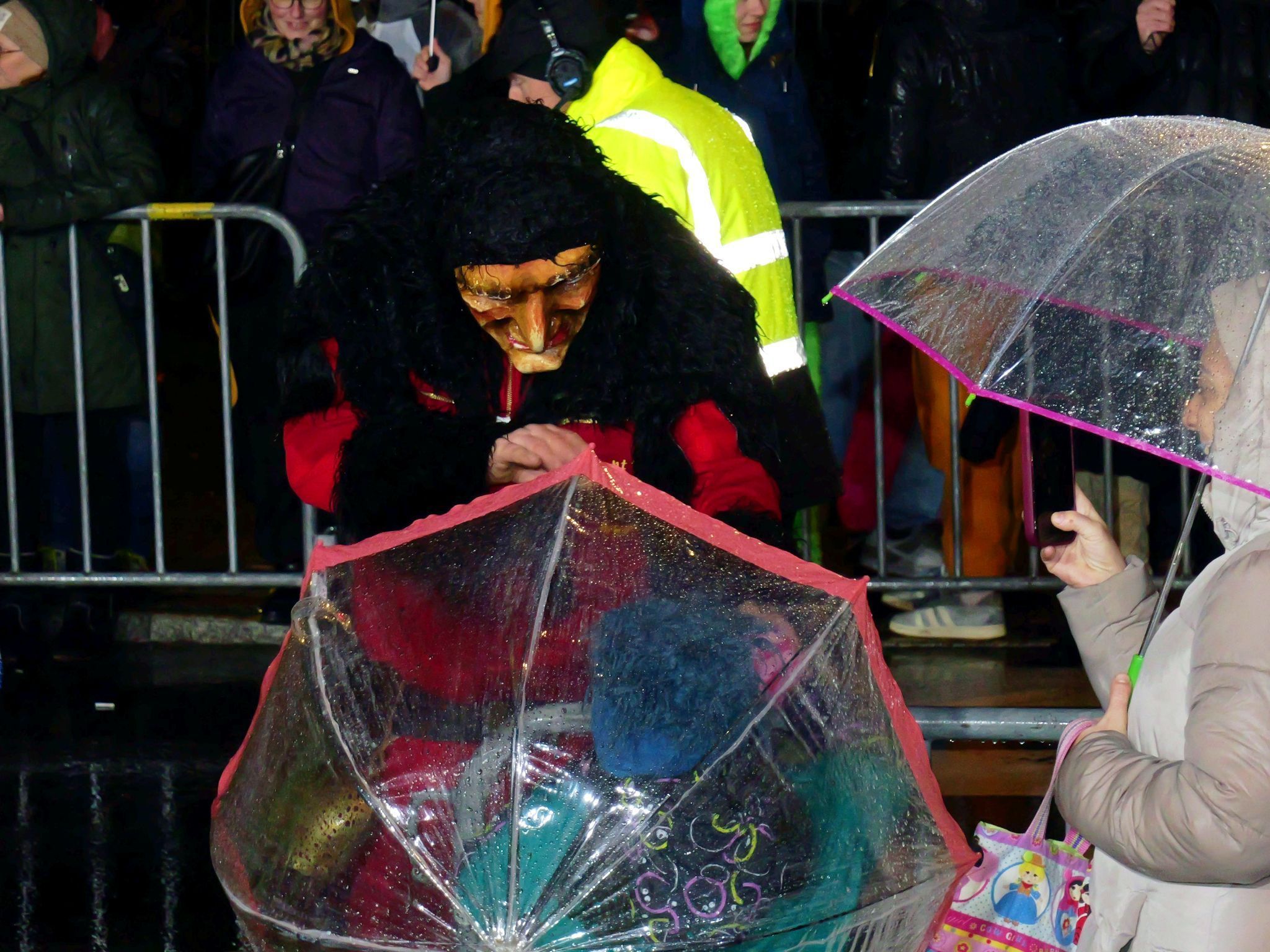 Schaaner Ried Faschingsumzug 2026 (Bildergalerie)