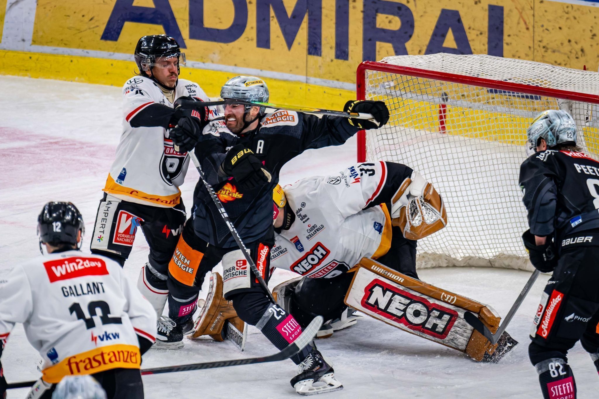 Die Pioneers waren in der Defensive gegen Wien oft gefordert.