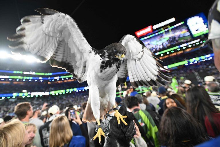 AMFOOT-SUPERBOWL-PATRIOTS-SEAHAWKS