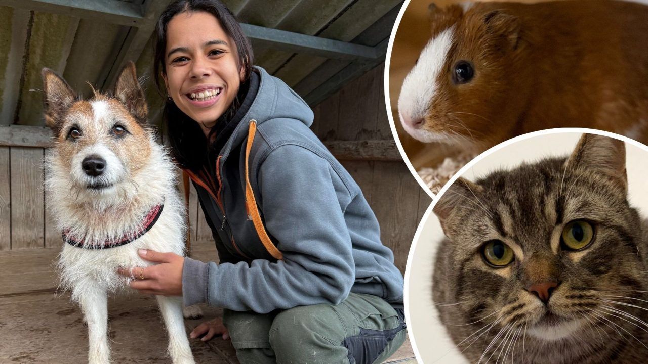 Kleine Schnuppernase wünscht sich einen Partner