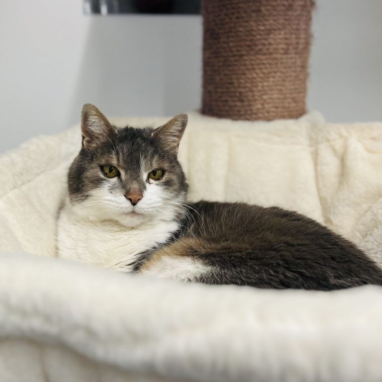 Rocky hat ein warmes Herz