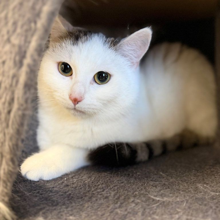 Isra wartet noch immer auf ein neues Plätzchen