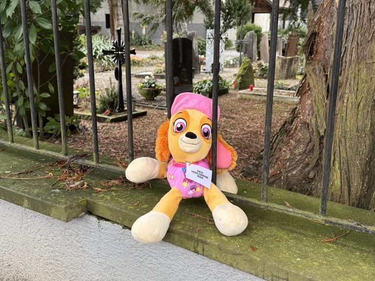 "Fast jedes Kind verbindet damit Sicherheit" – 120 verlorene Stofftiere setzen derzeit ein starkes Zeichen in Vorarlberg