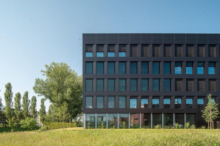 Stimmen aus der Praxis: Was KMU wirklich umtreibt