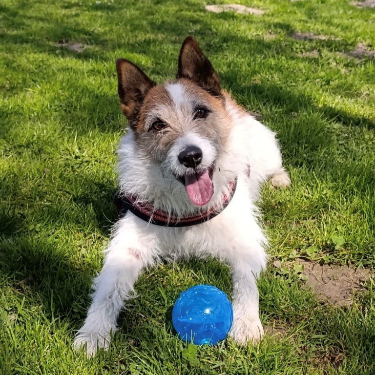 Kleine Schnuppernase wünscht sich einen Partner
