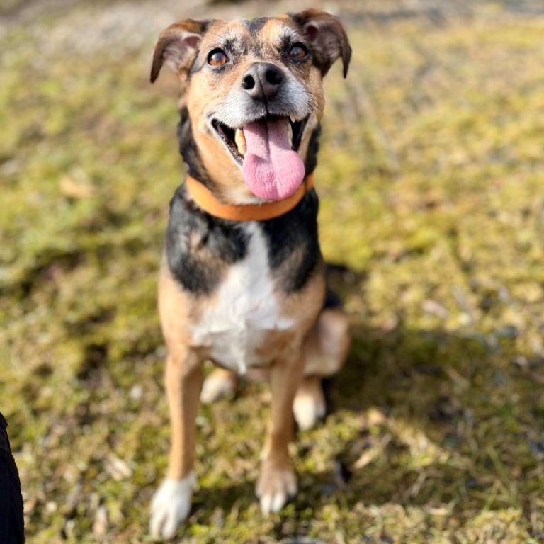 Kleine Schnuppernase wünscht sich einen Partner
