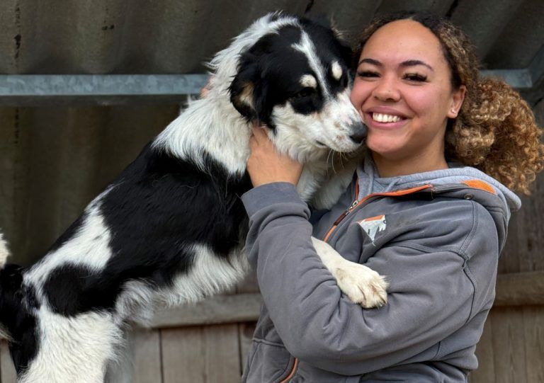 Medo ist auf der Suche nach seinem Glück
