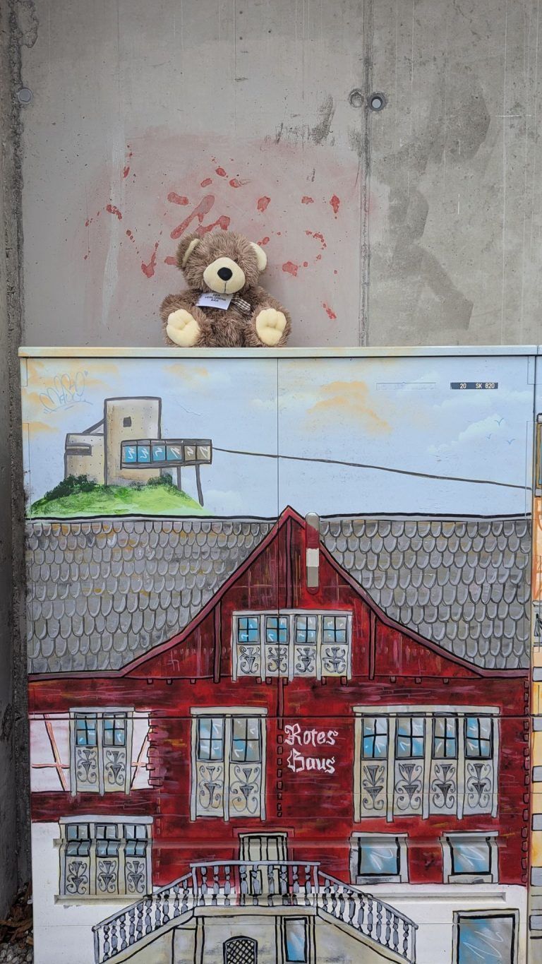 "Fast jedes Kind verbindet damit Sicherheit" – 120 verlorene Stofftiere setzen derzeit ein starkes Zeichen in Vorarlberg