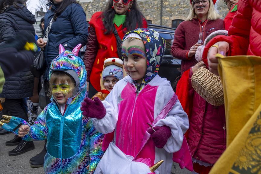 Die schönsten Bilder: So verwandelten 3000 Mäschgerle Feldkirch in eine Faschingshochburg