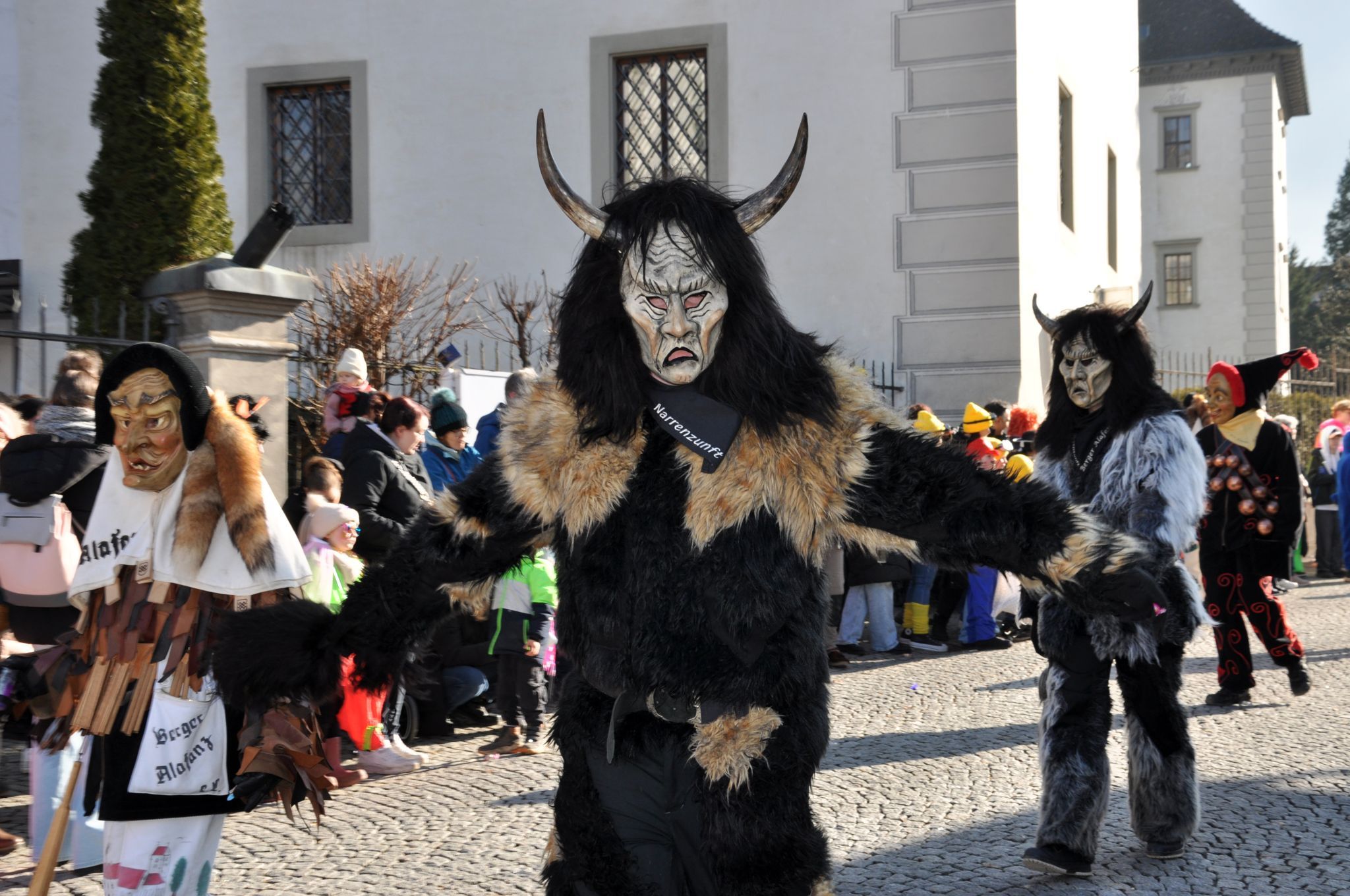 Faschingsumzug Hohenems 2026 (Bildergalerie)