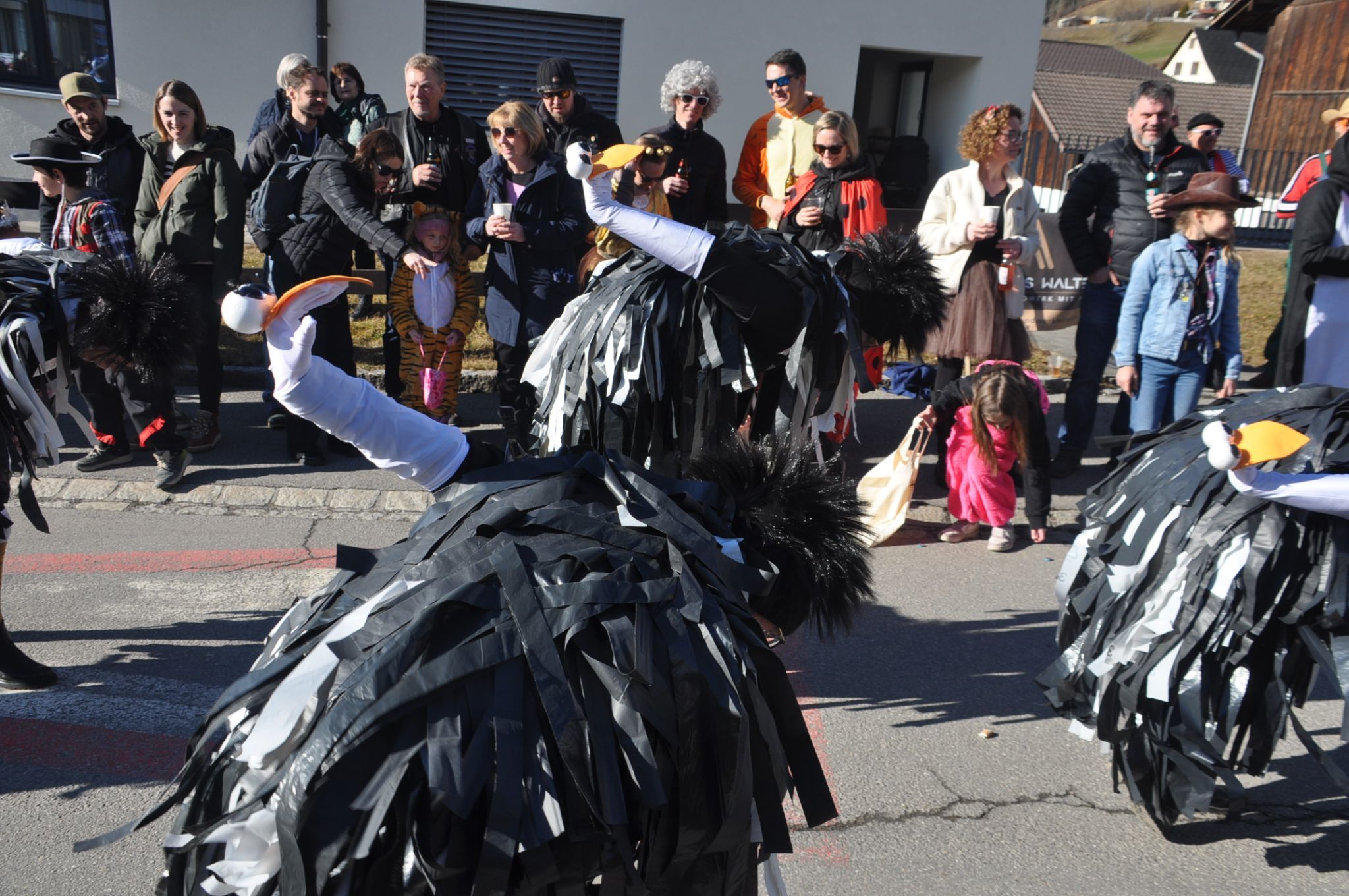 8.	Verrückte Vögel