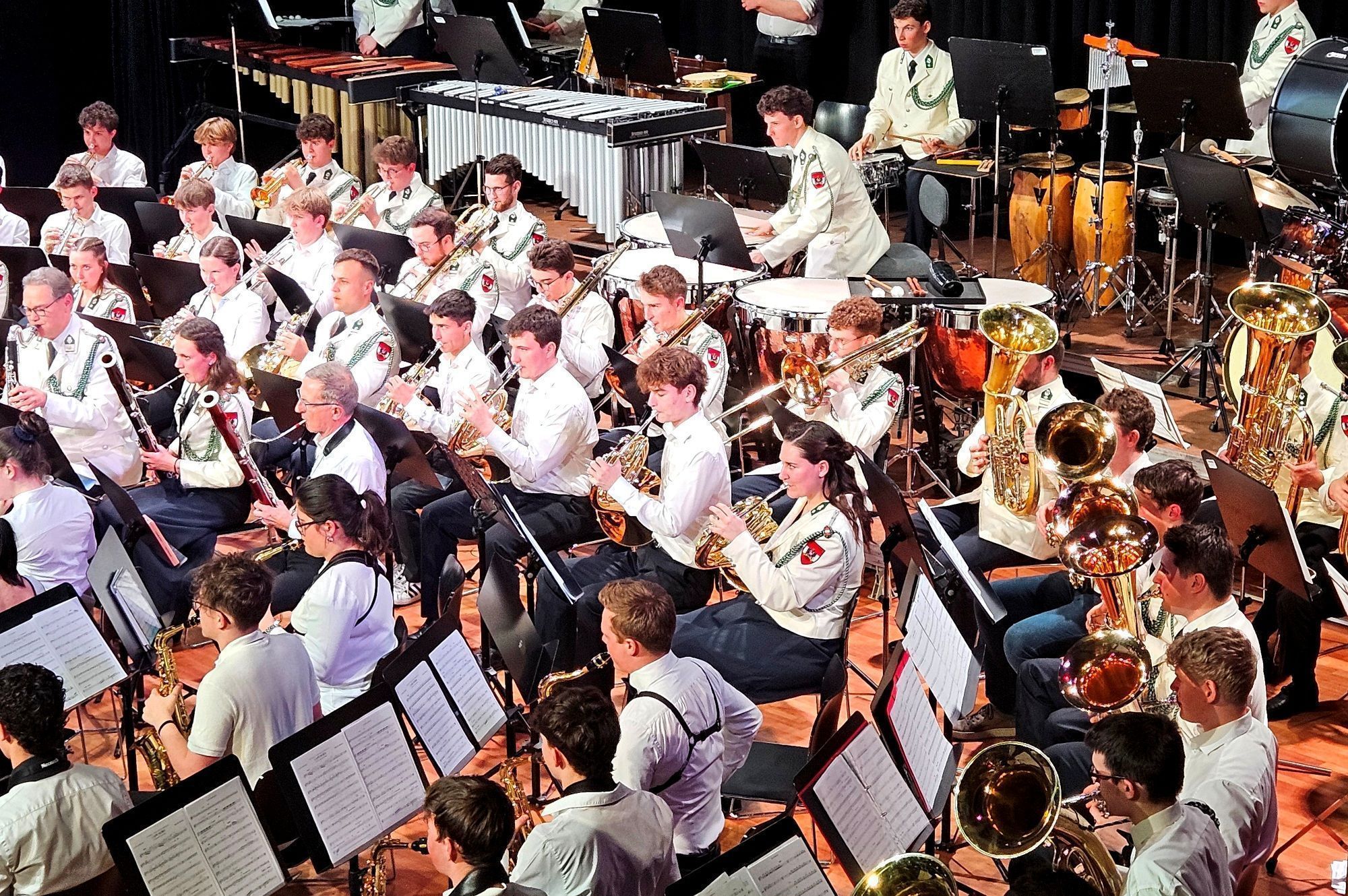 Ein Konzertabend umrahmte die 21. Generalversammlung des Vereines zur Förderung des österreichischen Militärmusikwesens in Vorarlberg im Kubus in Wolfurt. (Bildergalerie)