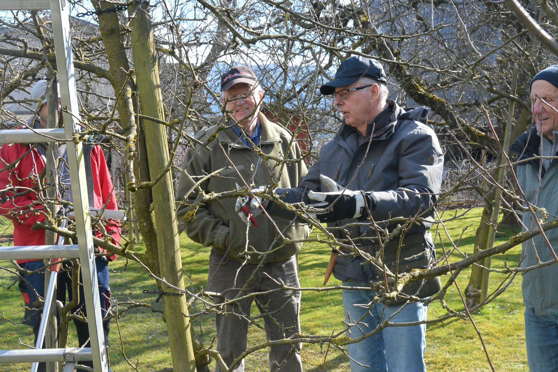Bei der Obstbaumpflege ist der richtige Schnitt nach dem Winter essentiell. 
