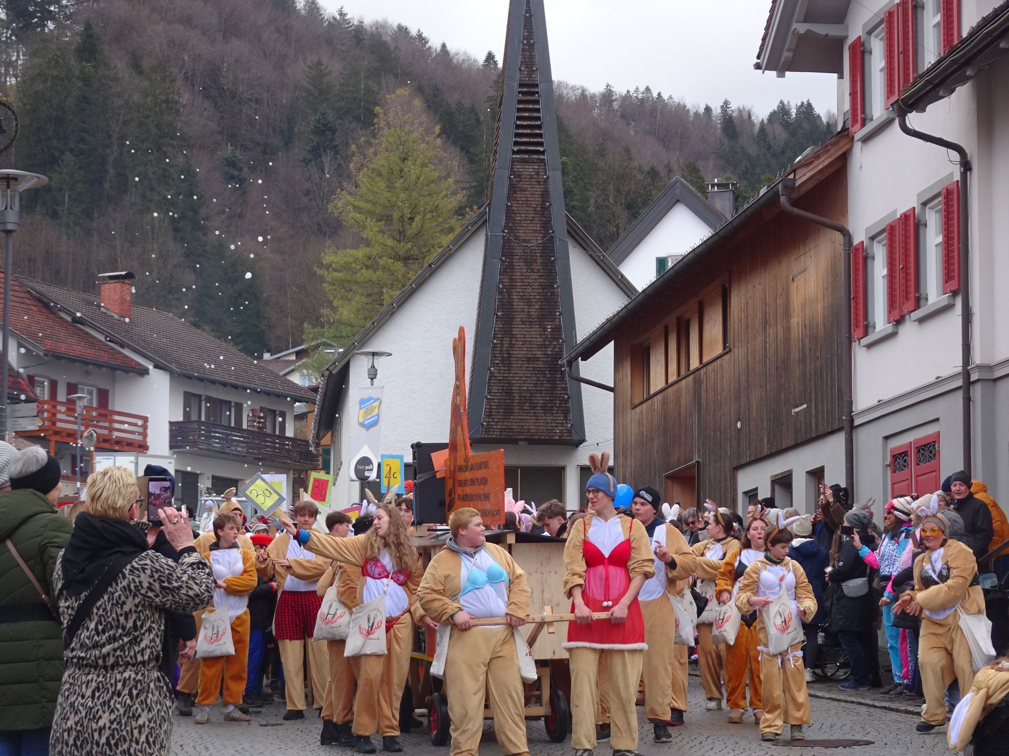 Weitere Bilder vom Umzug. (Bildergalerie)