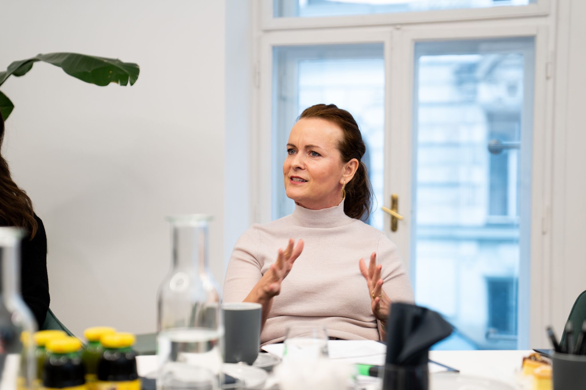 Agnieszka Kühn, CEO von Mercedes-Benz Österreich, startet mit einen starken Ergebnis in das neue Ge-schäftsjahr und erwartet auch für 2026 eine stabile Marktsituation