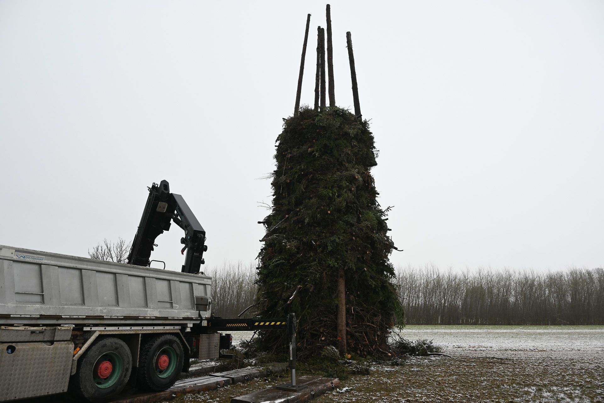 Per Kran werden die Christbäume auf den 15 Meter hohen Funken transportiert.