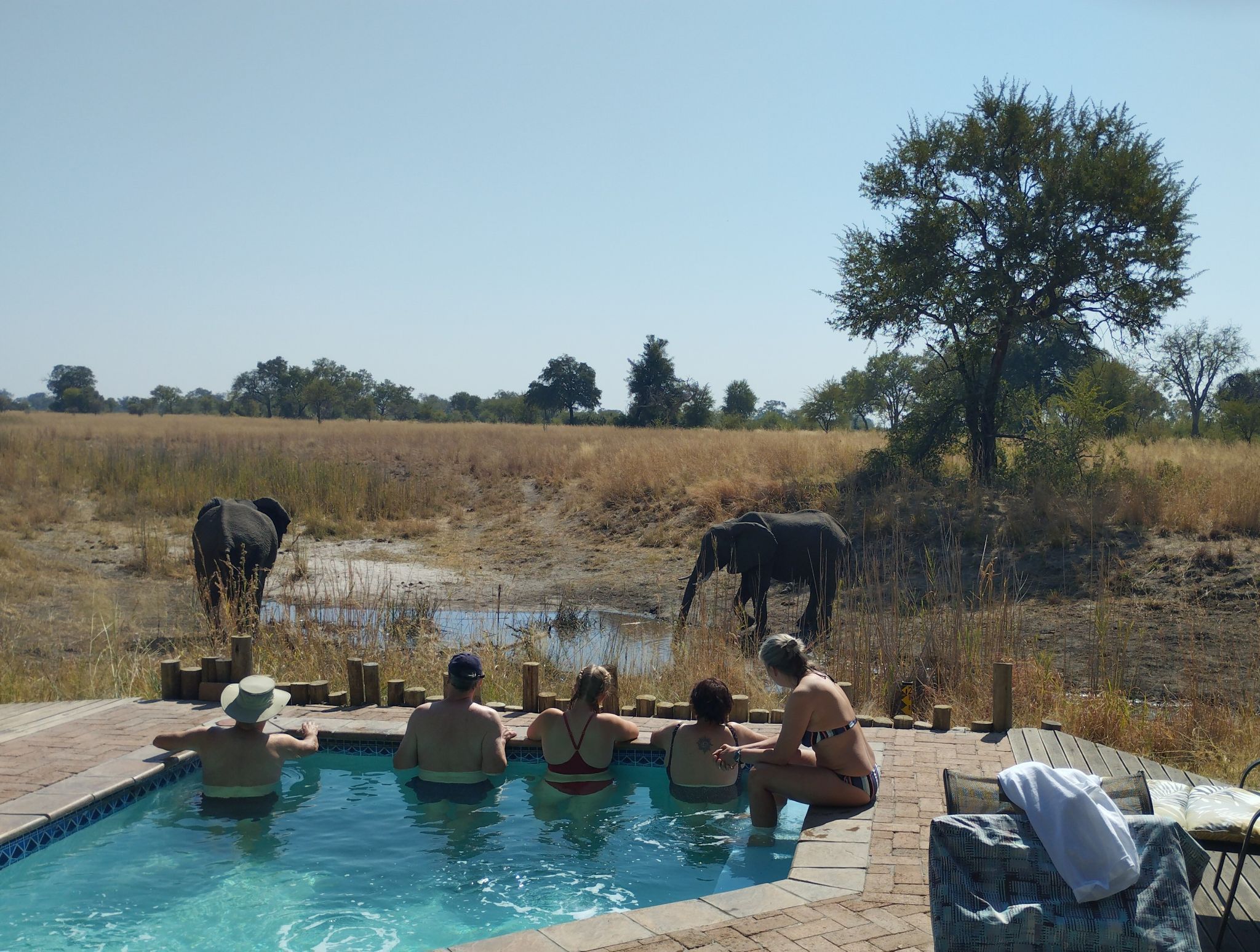 Bei seinen selbst organisierten Reisen nach Afrika kann die Tierwelt sogar direkt vom Pool der Lodge aus bestaunt werden.