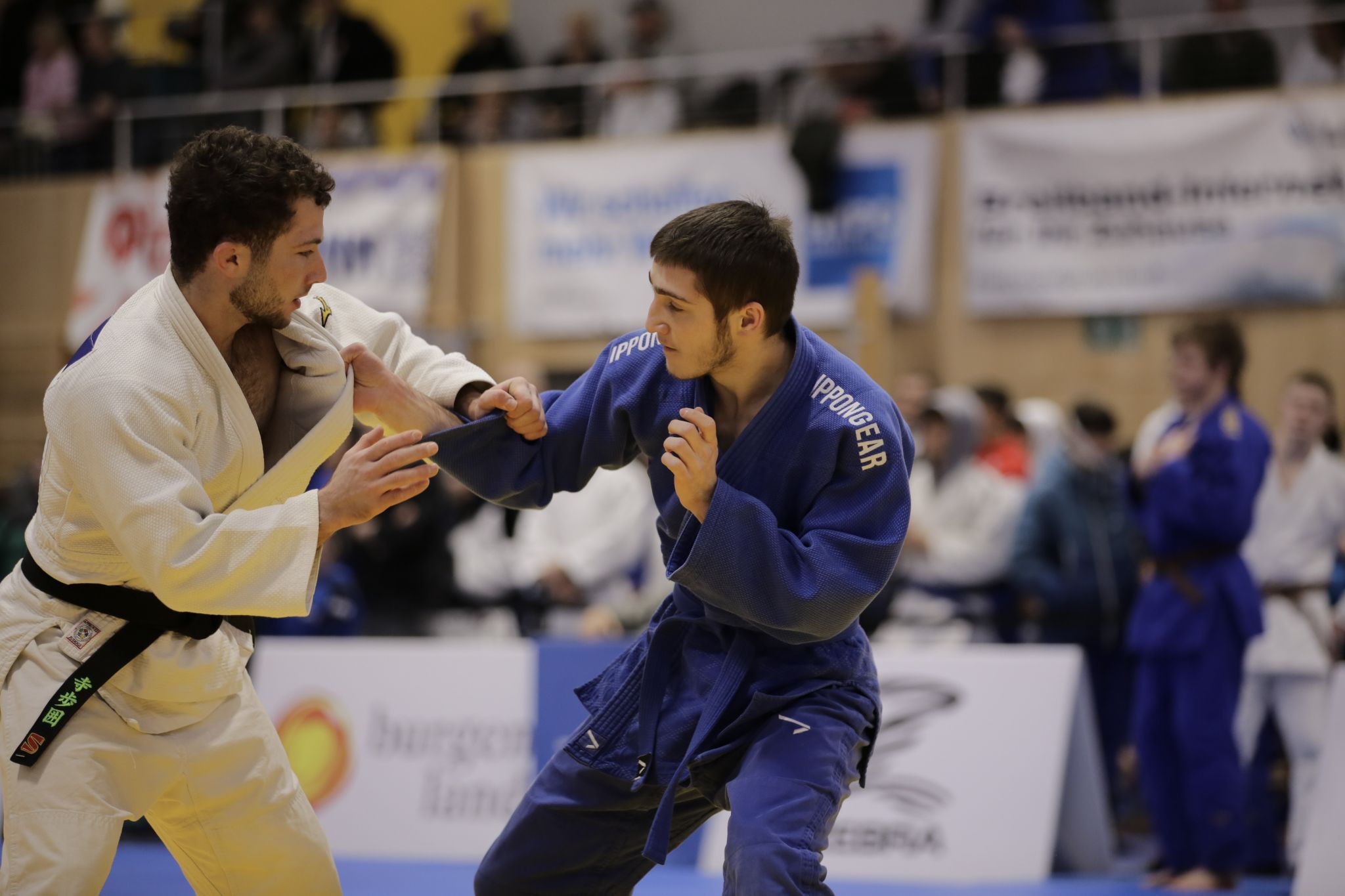 Konzentrierte Leistung auf der Tatami im Olympiazentrum.