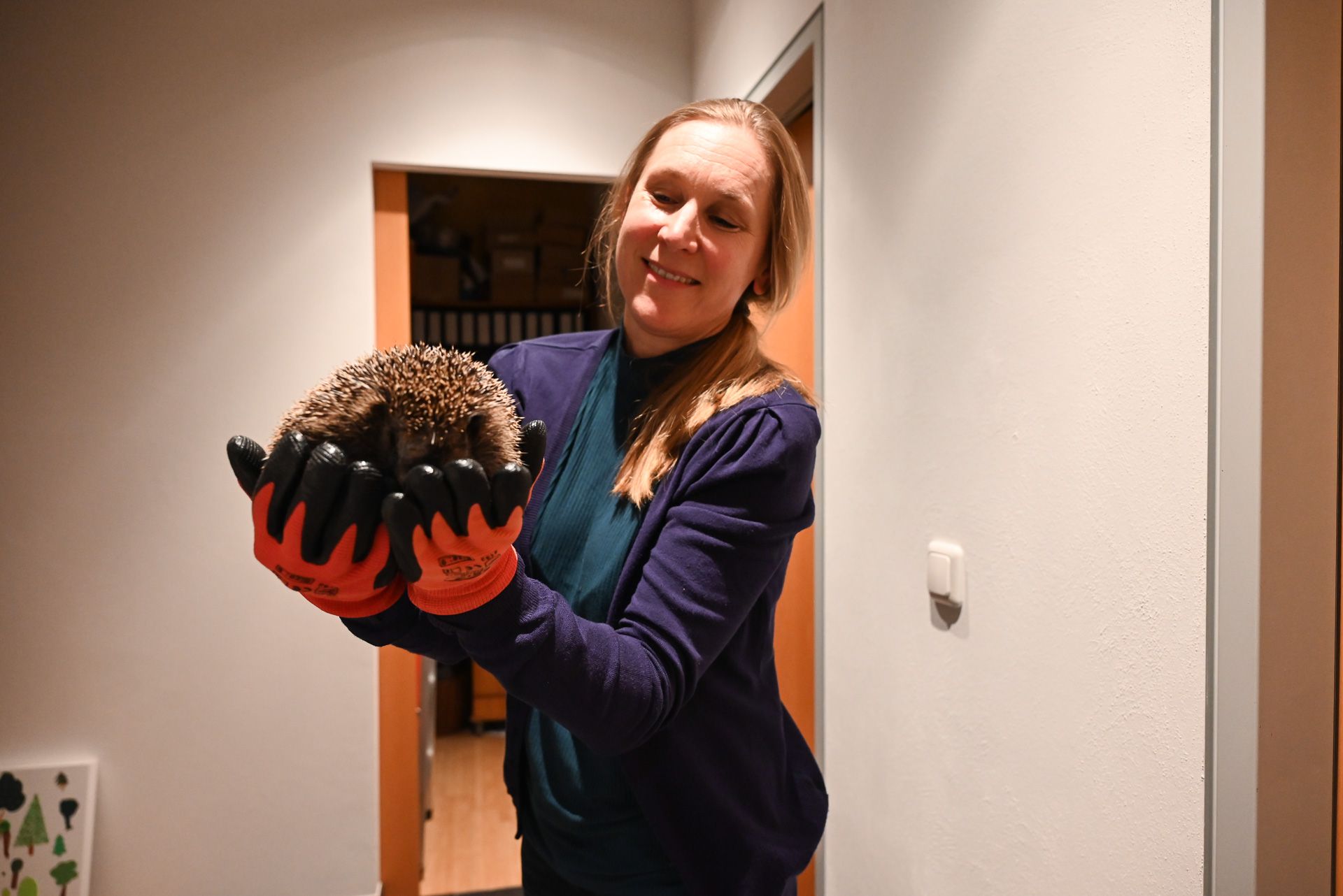 Sabine Matt pflegt die Igel bei sich zu Hause und entlässt sie gesund und wohlgenährt in die freie Natur. 