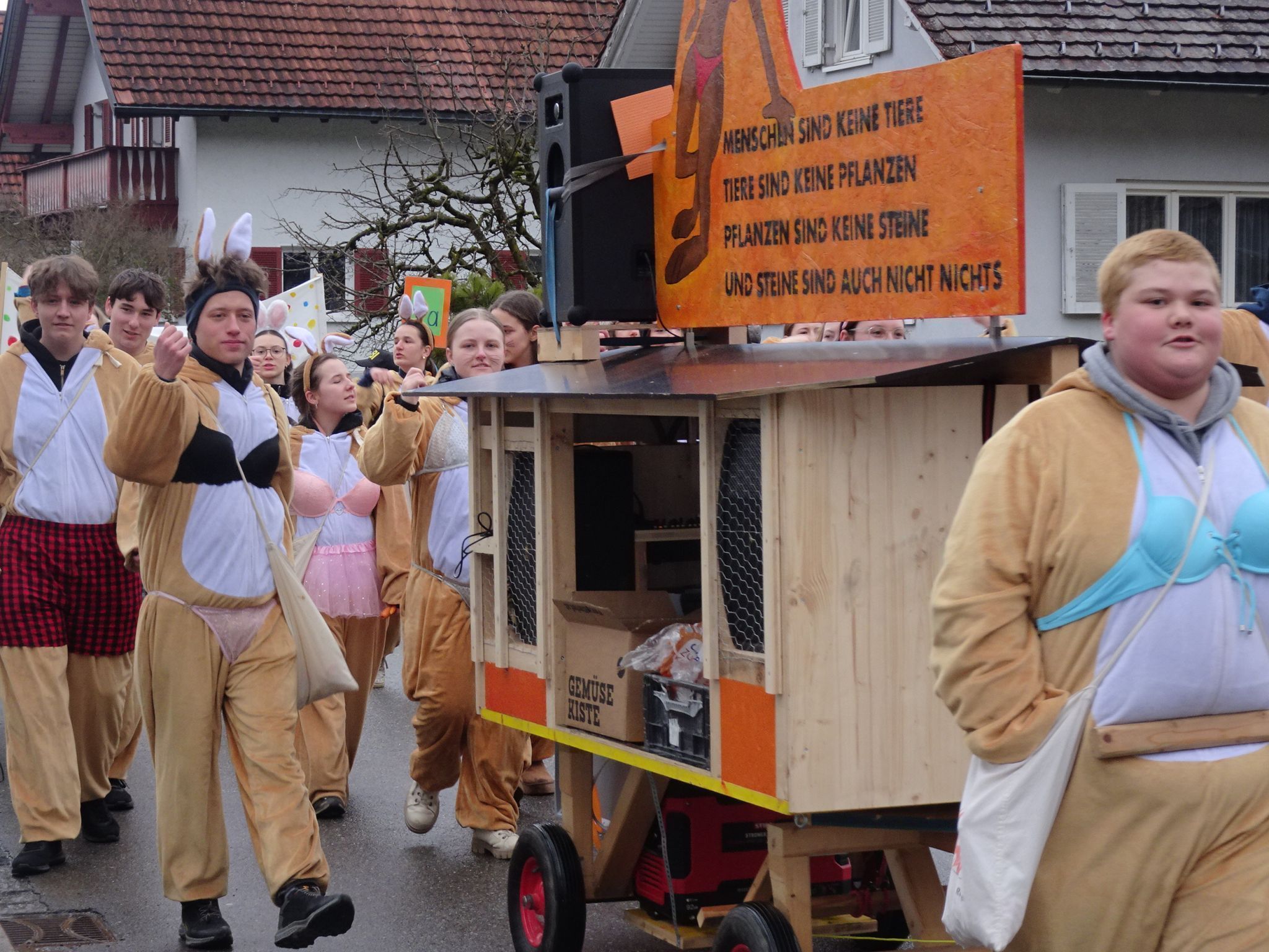 Der Faschingstross zog lautstark Richtung Mühlebach.