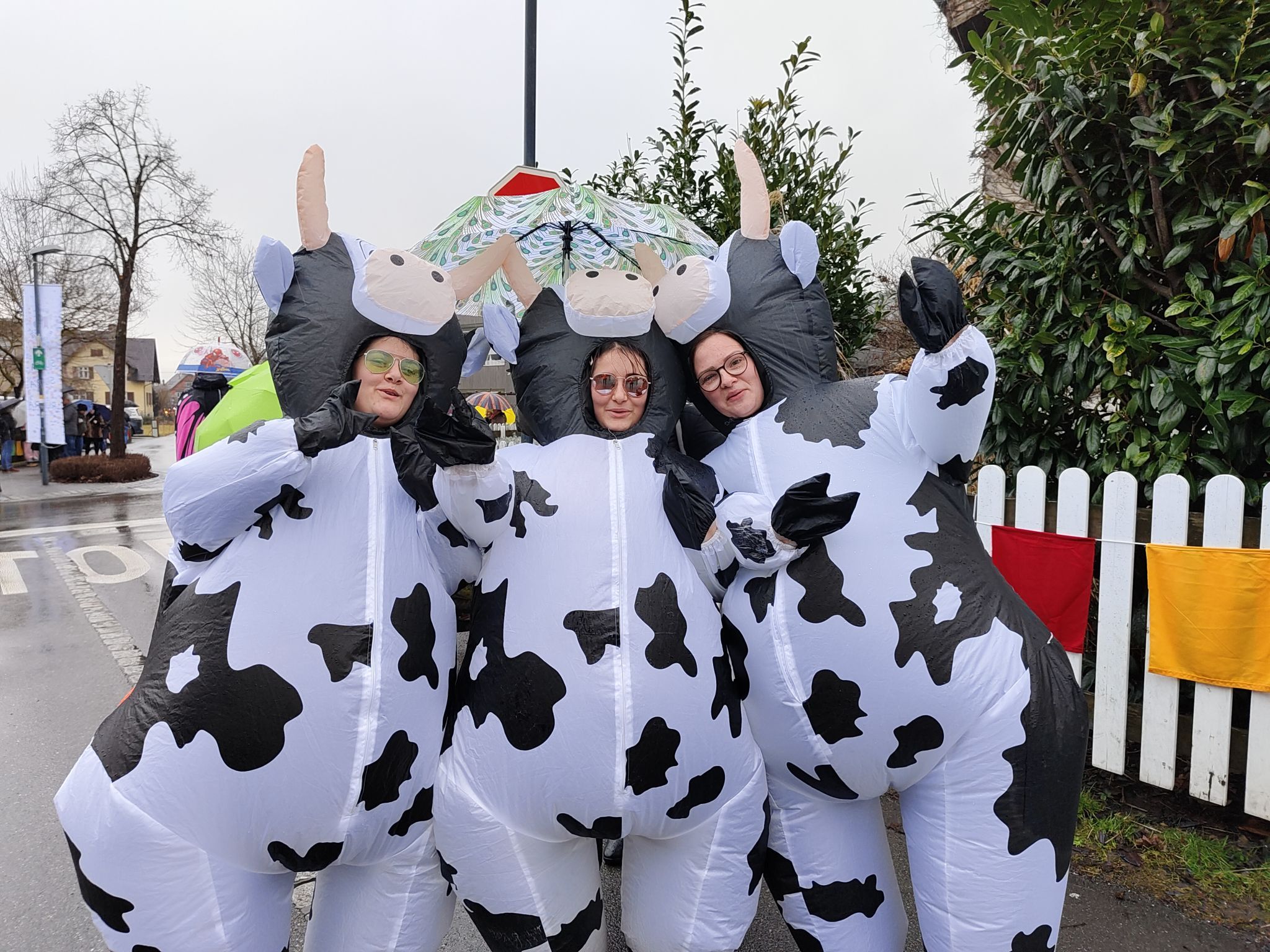 Kinderfaschingsumzug 2026 der Gisinger Milchsüppler (Bildergalerie)