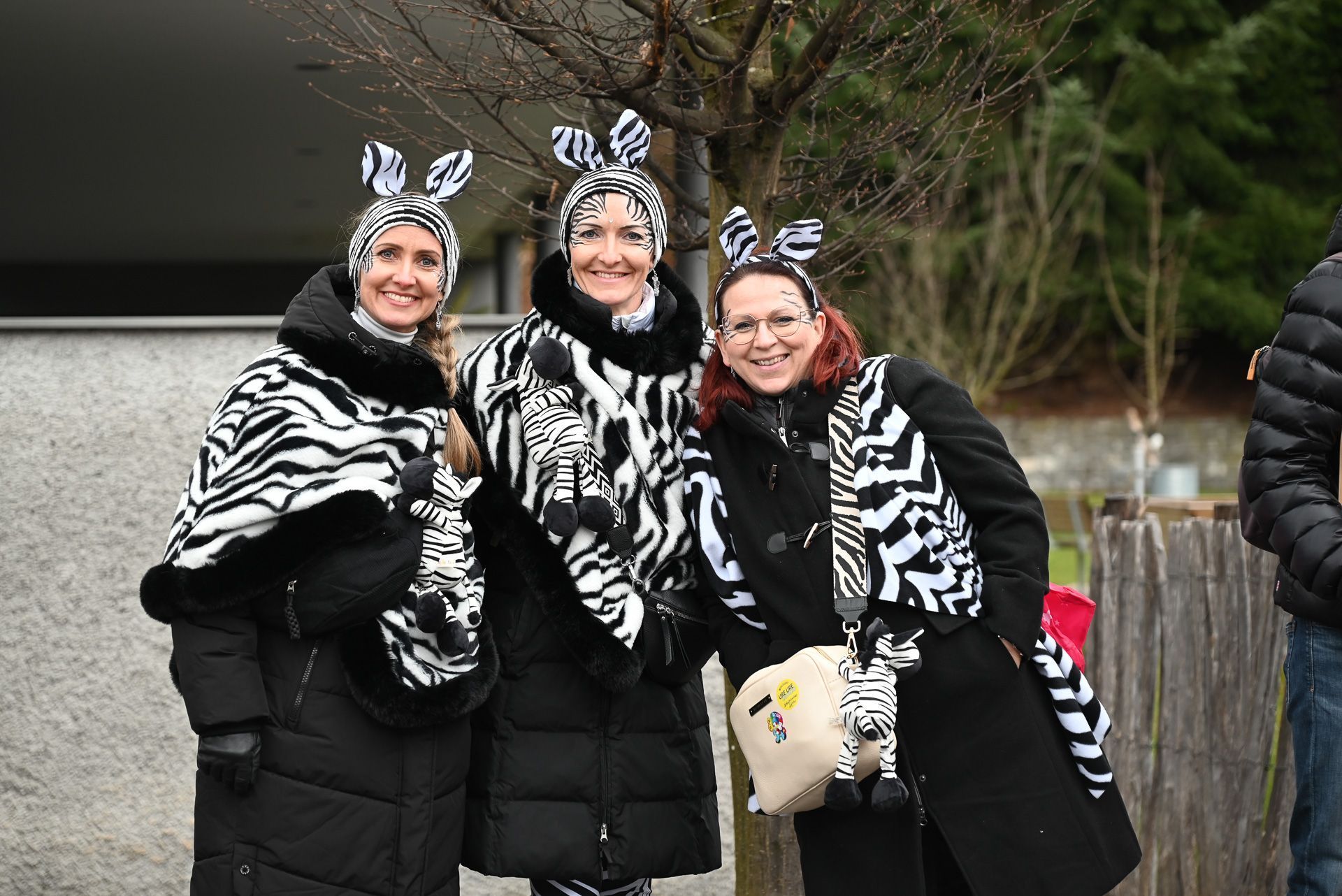 Faschingsfinale in Schwarzach (Bildergalerie)