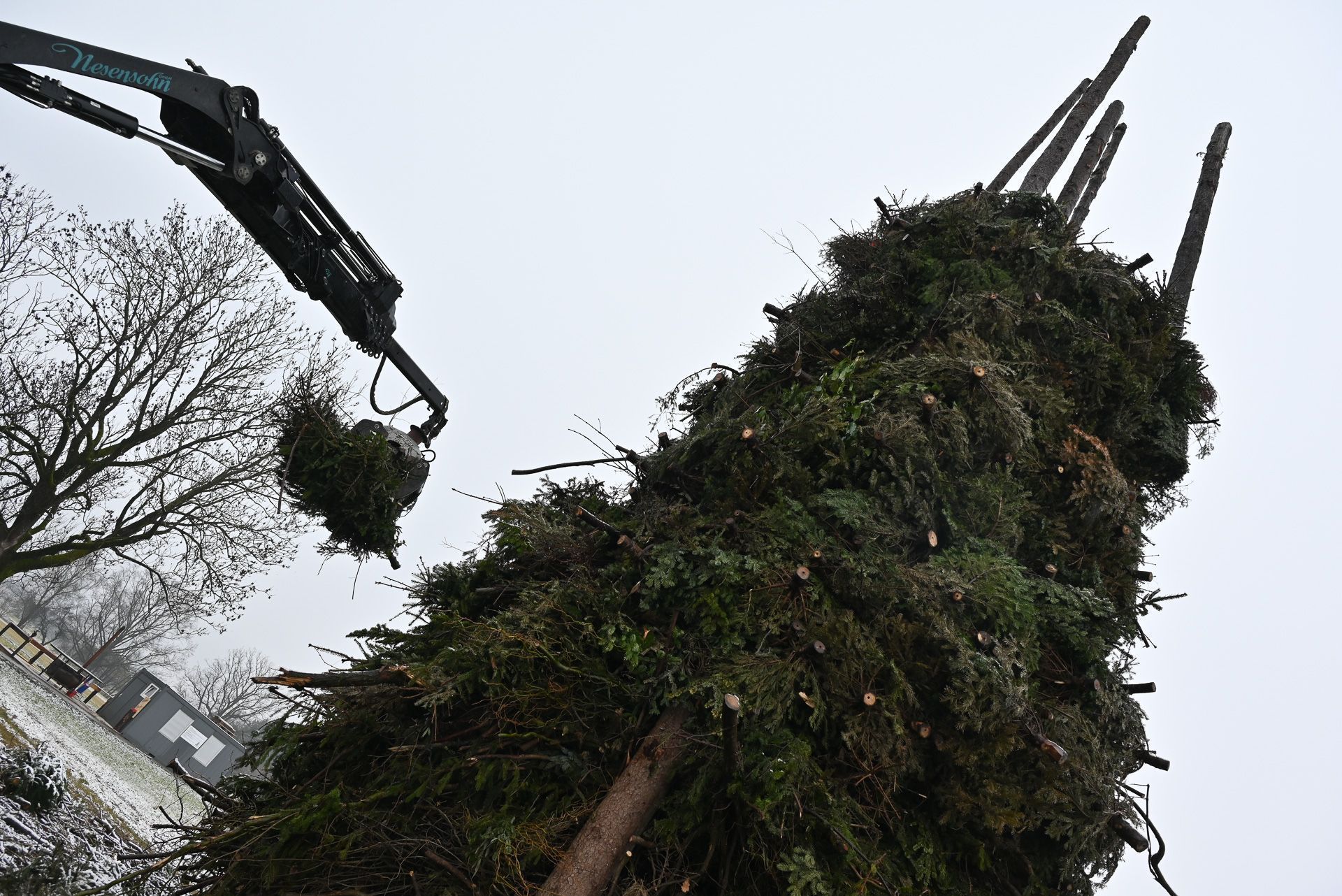 Per Kran werden die Christbäume auf den 15 Meter hohen Funken transportiert.