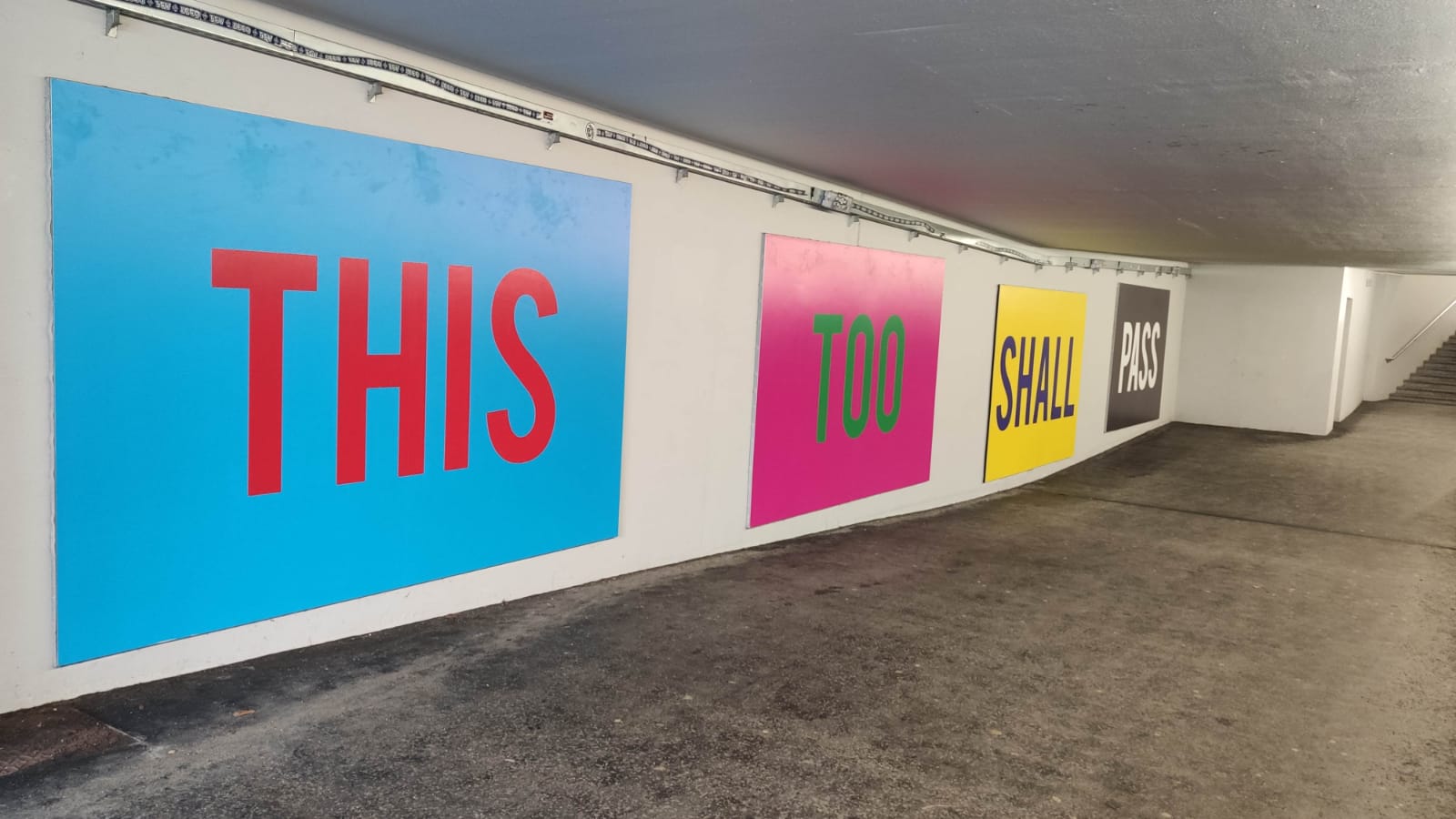 Fotos Tomi Scheiderbauer (Bildergalerie)