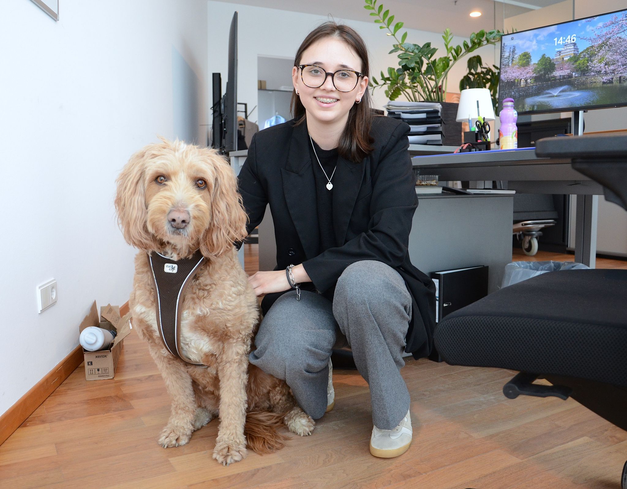 Frieda, die Hündin des Geschäftsführers, schaut oft bei Katharina im Büro vorbei. HRJ