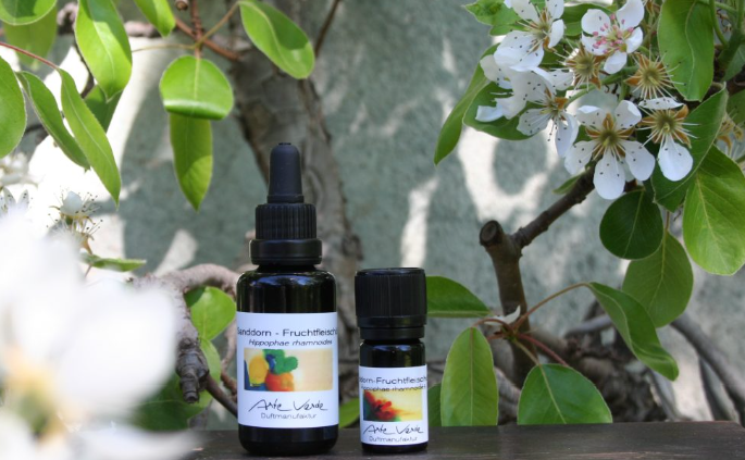 "Ein Kasten voller Öle hat mein Leben verändert" – Vorarlbergs Duftpionierin