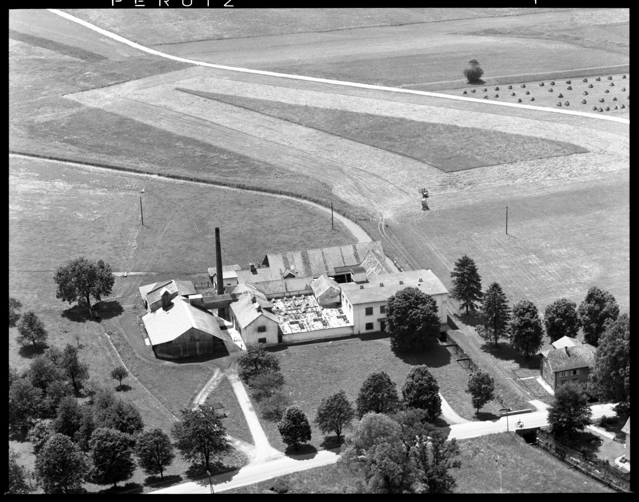 Die Leim- und Kunstüngerfabrik Schatzmann 1959 in Brederis. Foto: volare