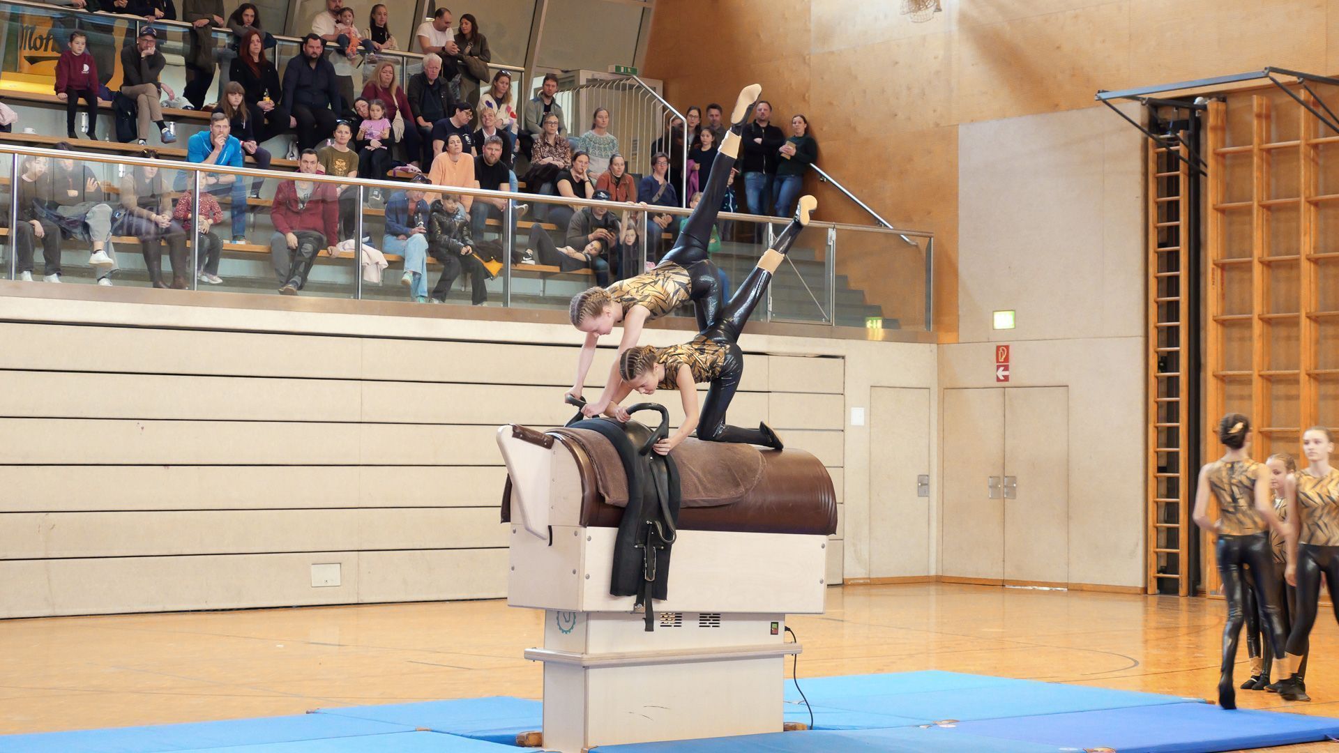 Auch auf dem Movie, dem galoppierenden Gerät, zeigten die Voltigiererinnen ihr Können. (Foto: Niko Mylonas)