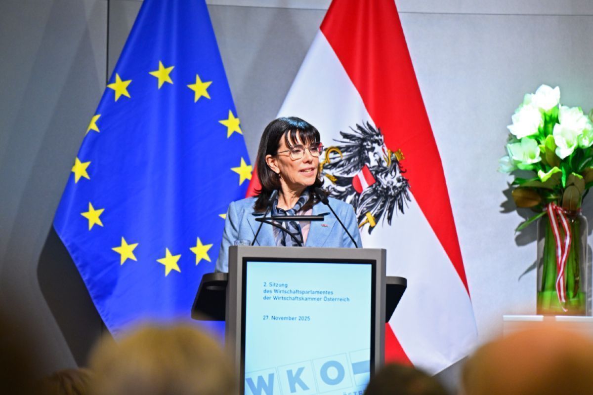 WKÖ-Schultz fordert EU-Lösungen für niedrigere Energiepreise