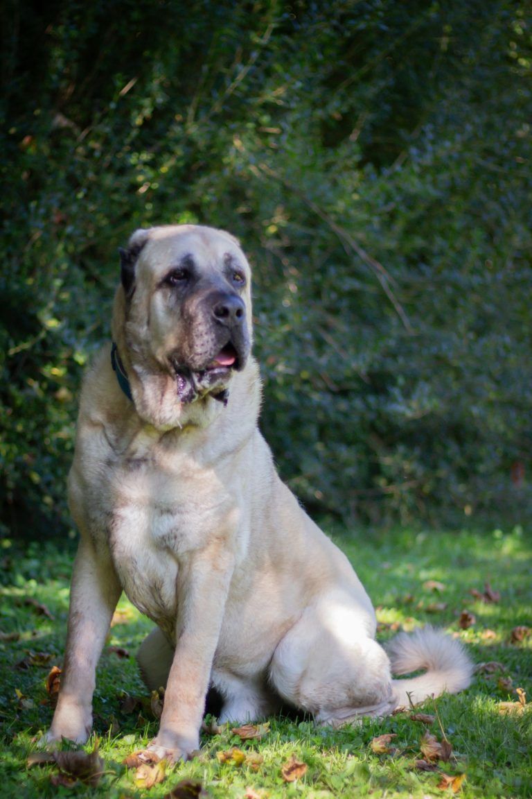 Wer will mich? Krümel sucht einen Herzensmenschen
