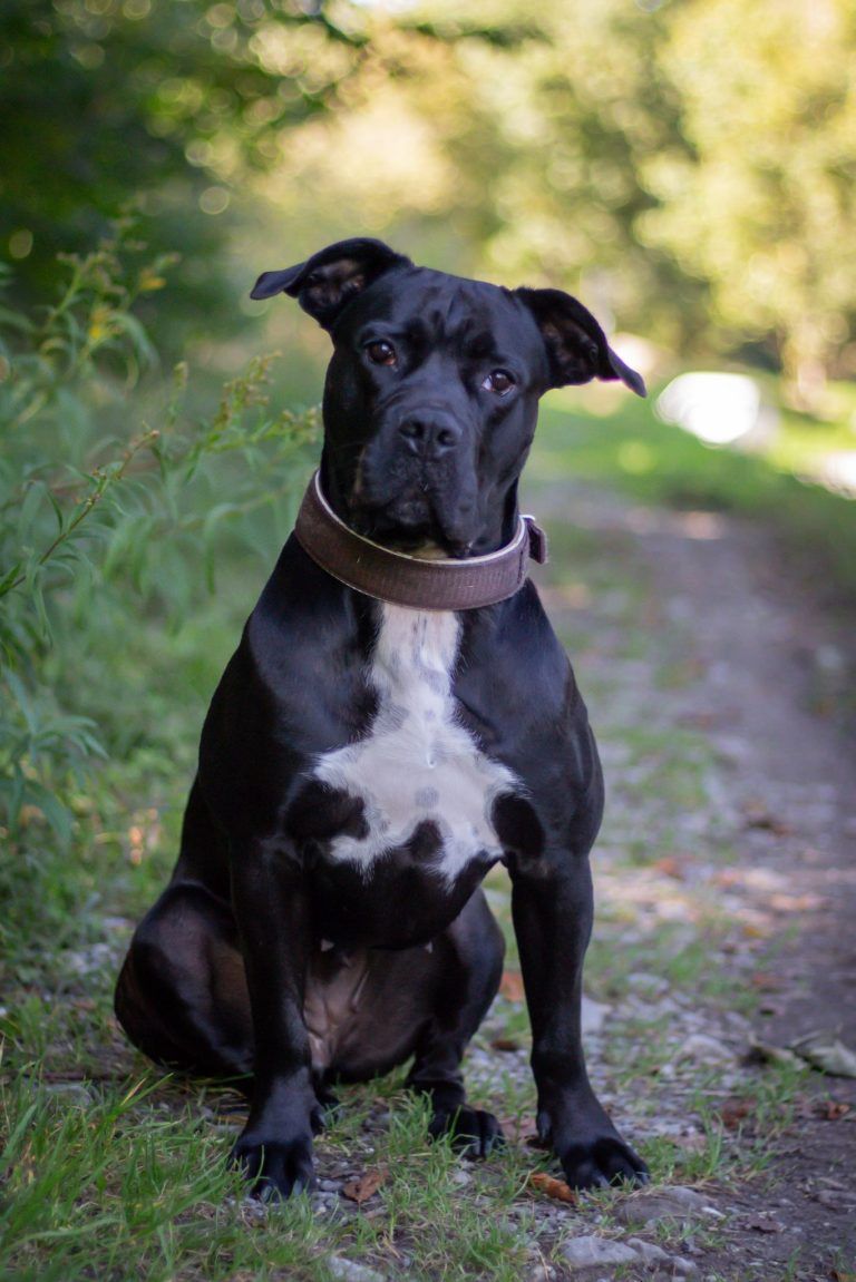 Gustav, Rudolf und Freddie sehnen sich nach einem schönen Plätzchen